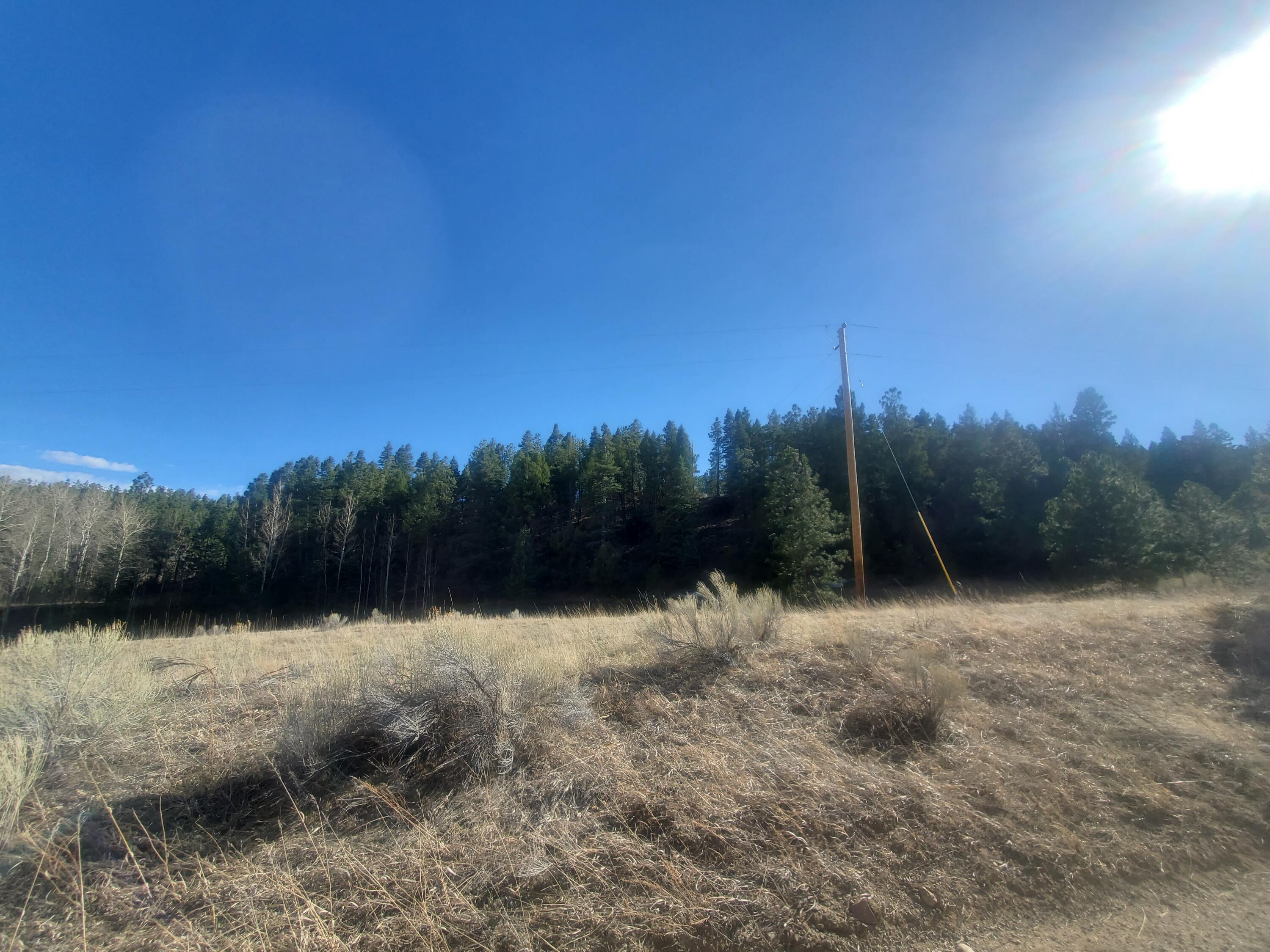 TBD County Road 42 Unit: 20