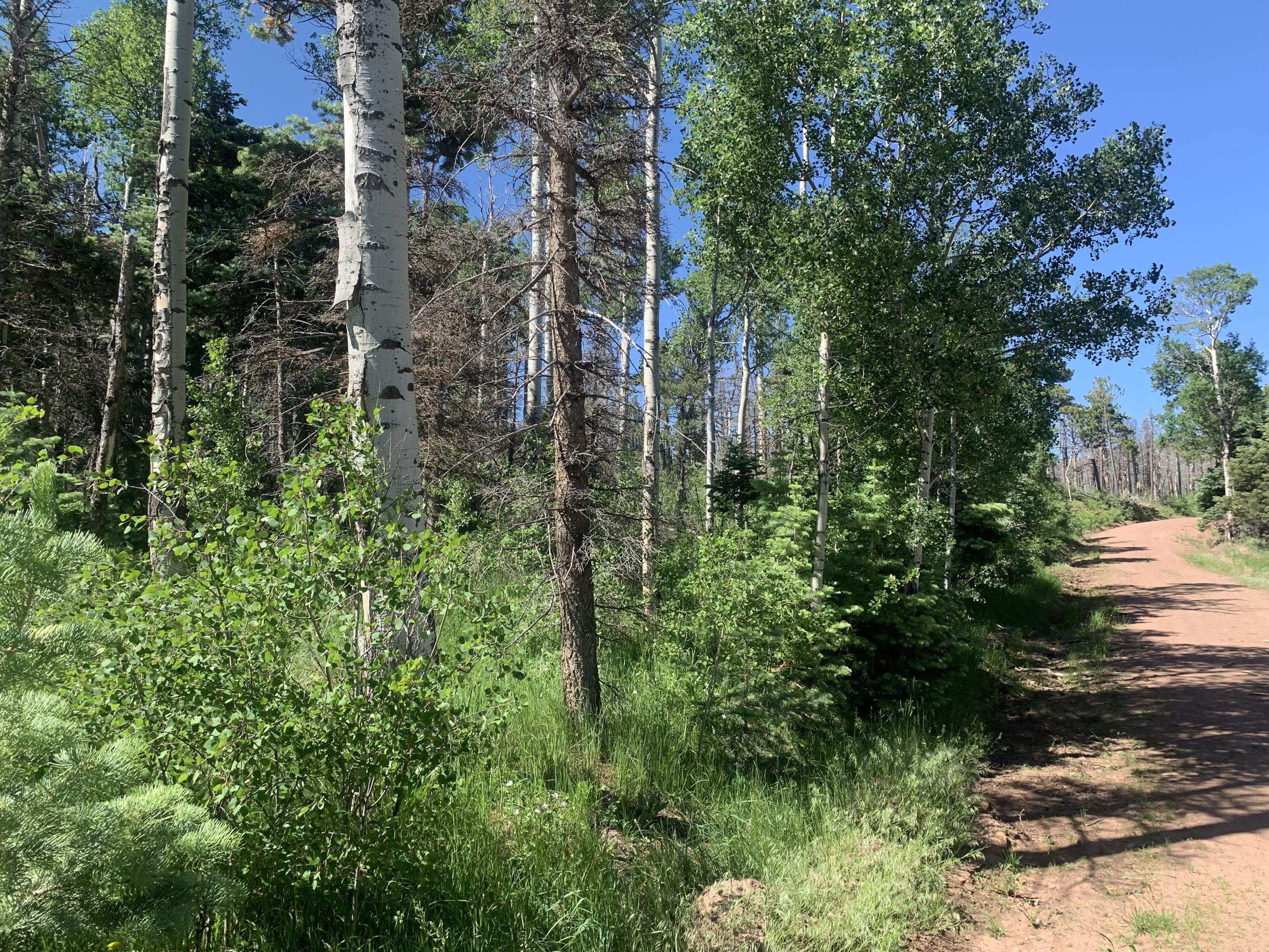 TBD Sigler Rd Unit: 2183,2188,2189