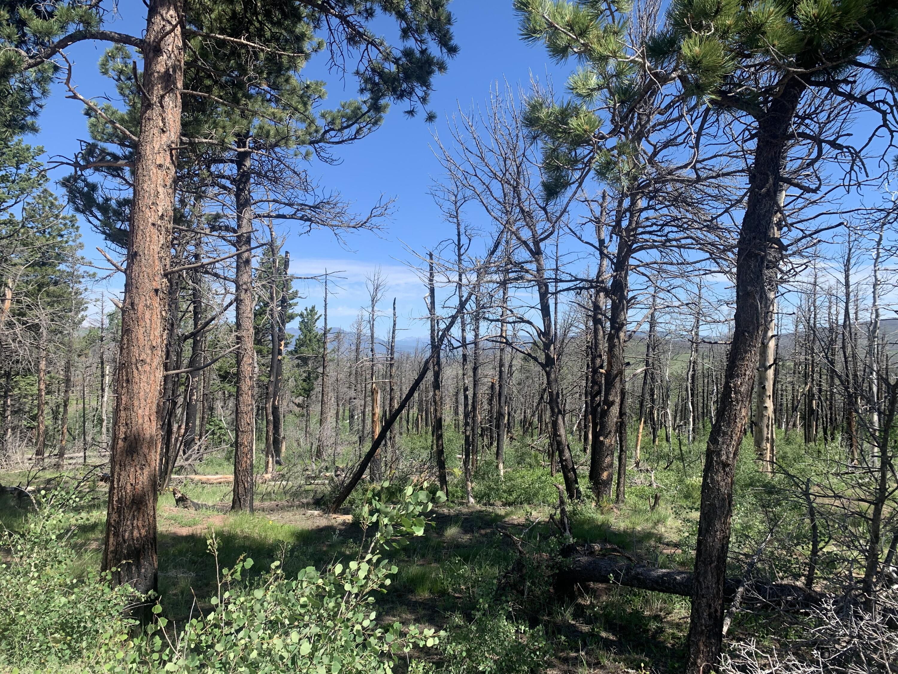 TBD Sigler Rd Unit: 2183,2188,2189