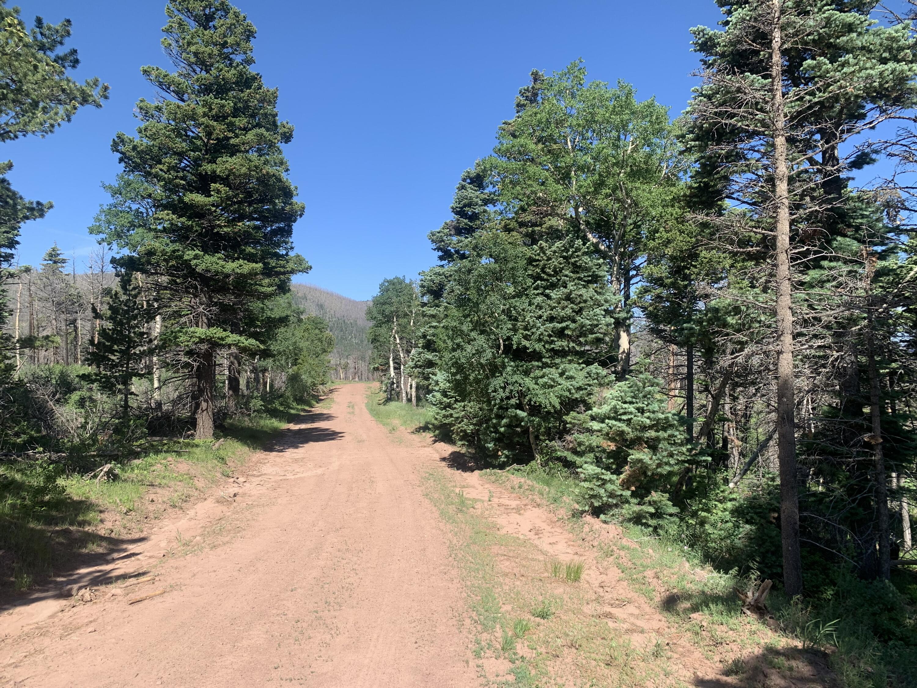 TBD Sigler Rd Unit: 2183,2188,2189