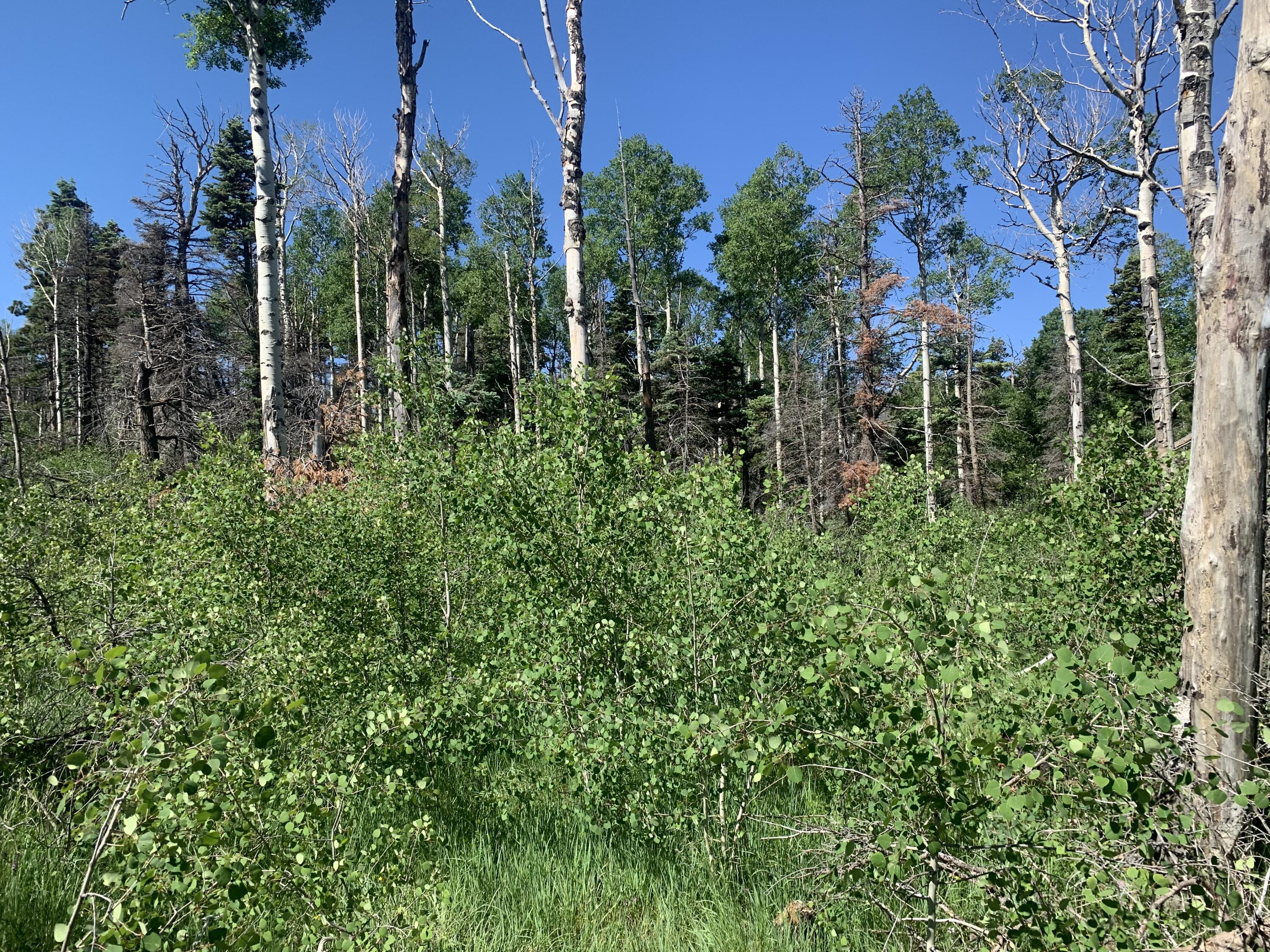 TBD Sigler Rd Unit: 2183,2188,2189