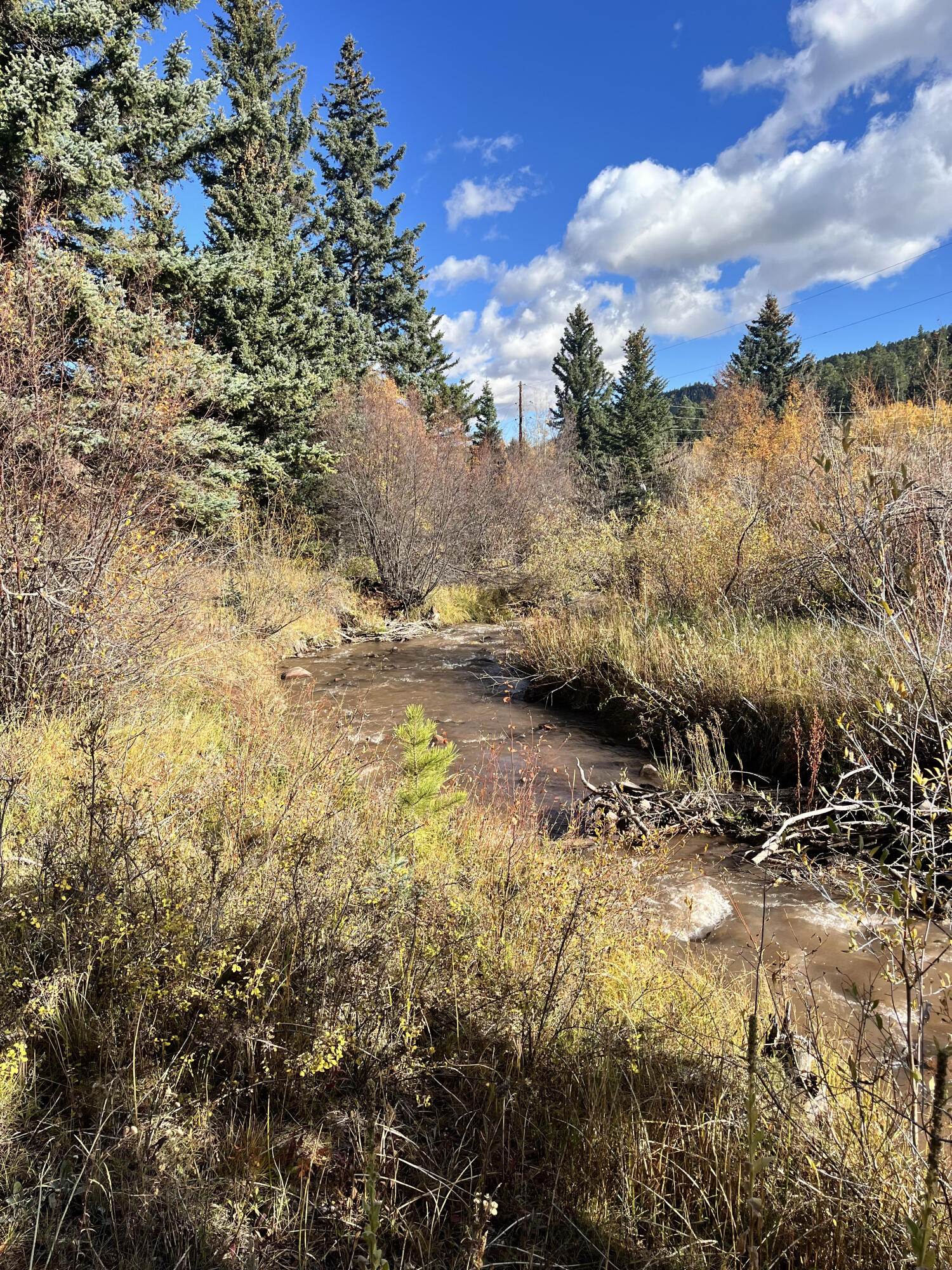 TBD Highway 12