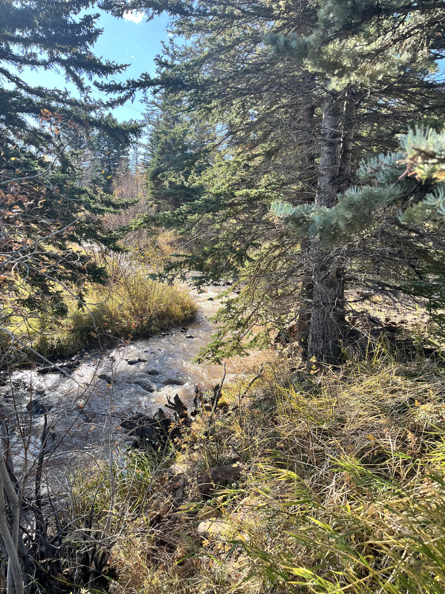 TBD Highway 12