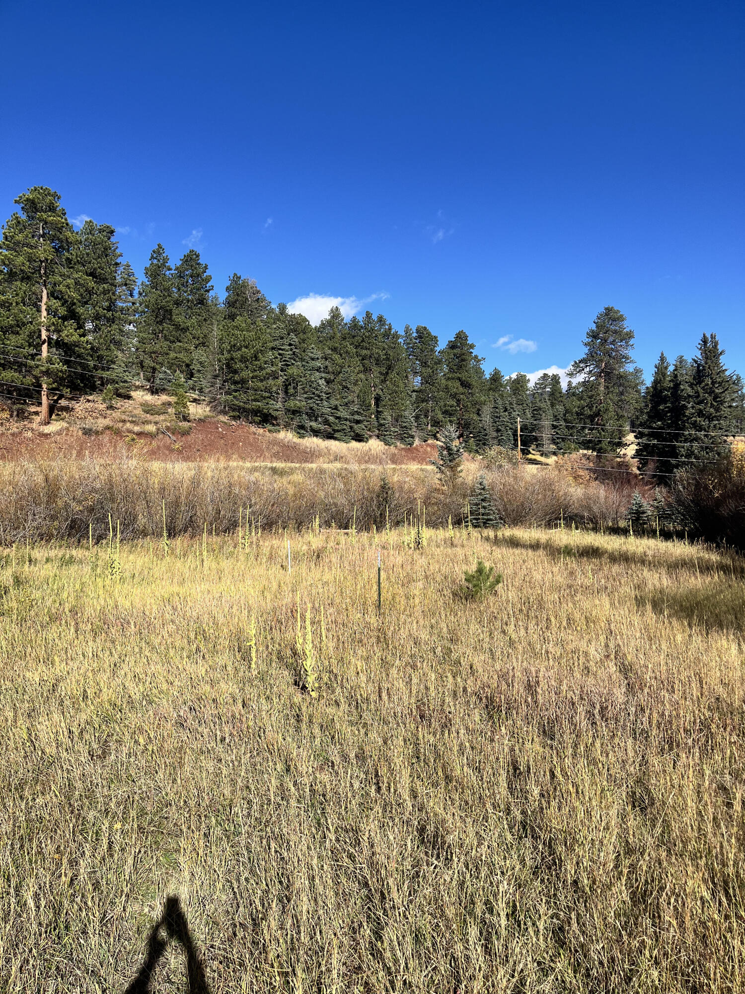 TBD Highway 12
