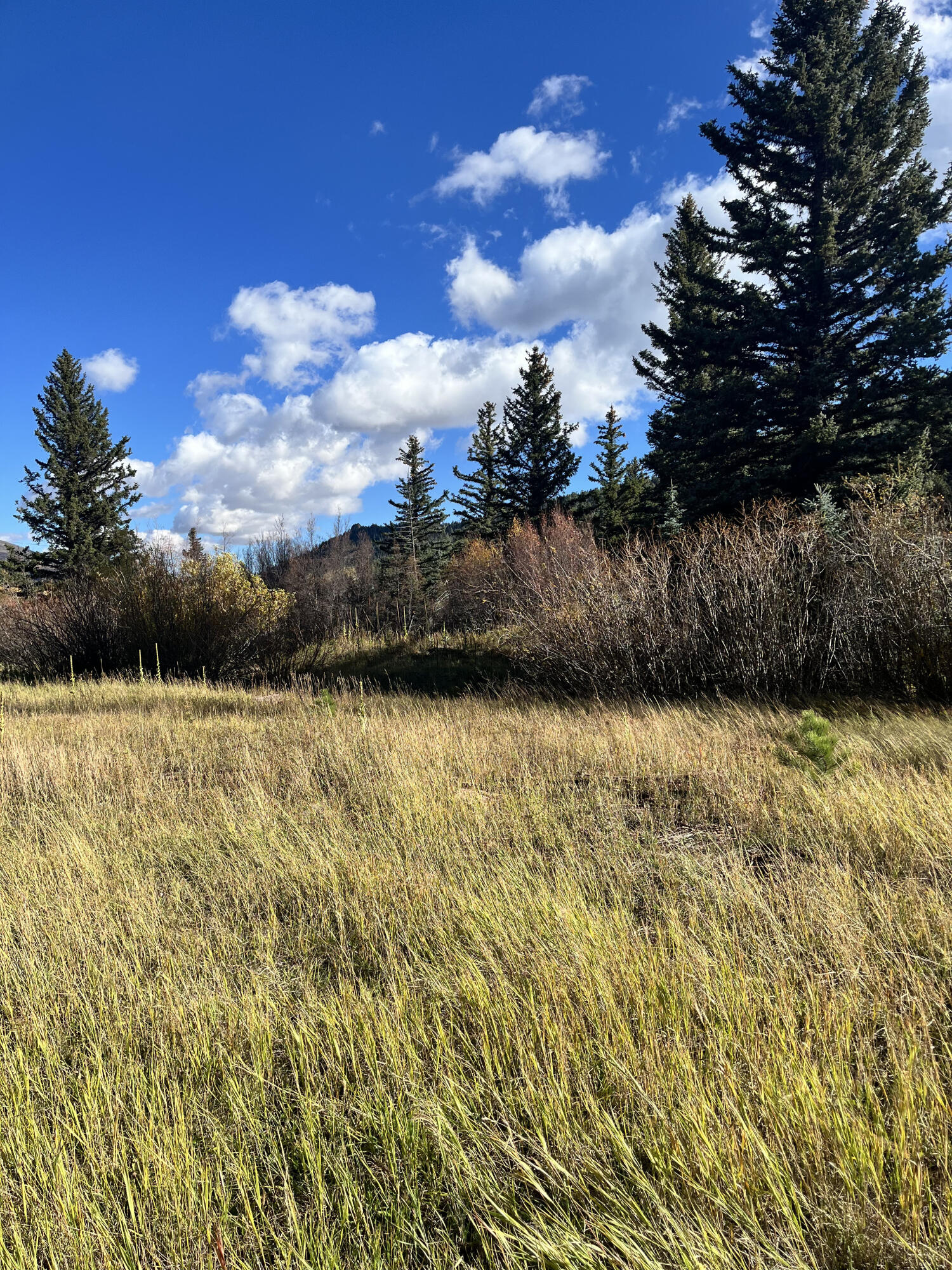 TBD Highway 12