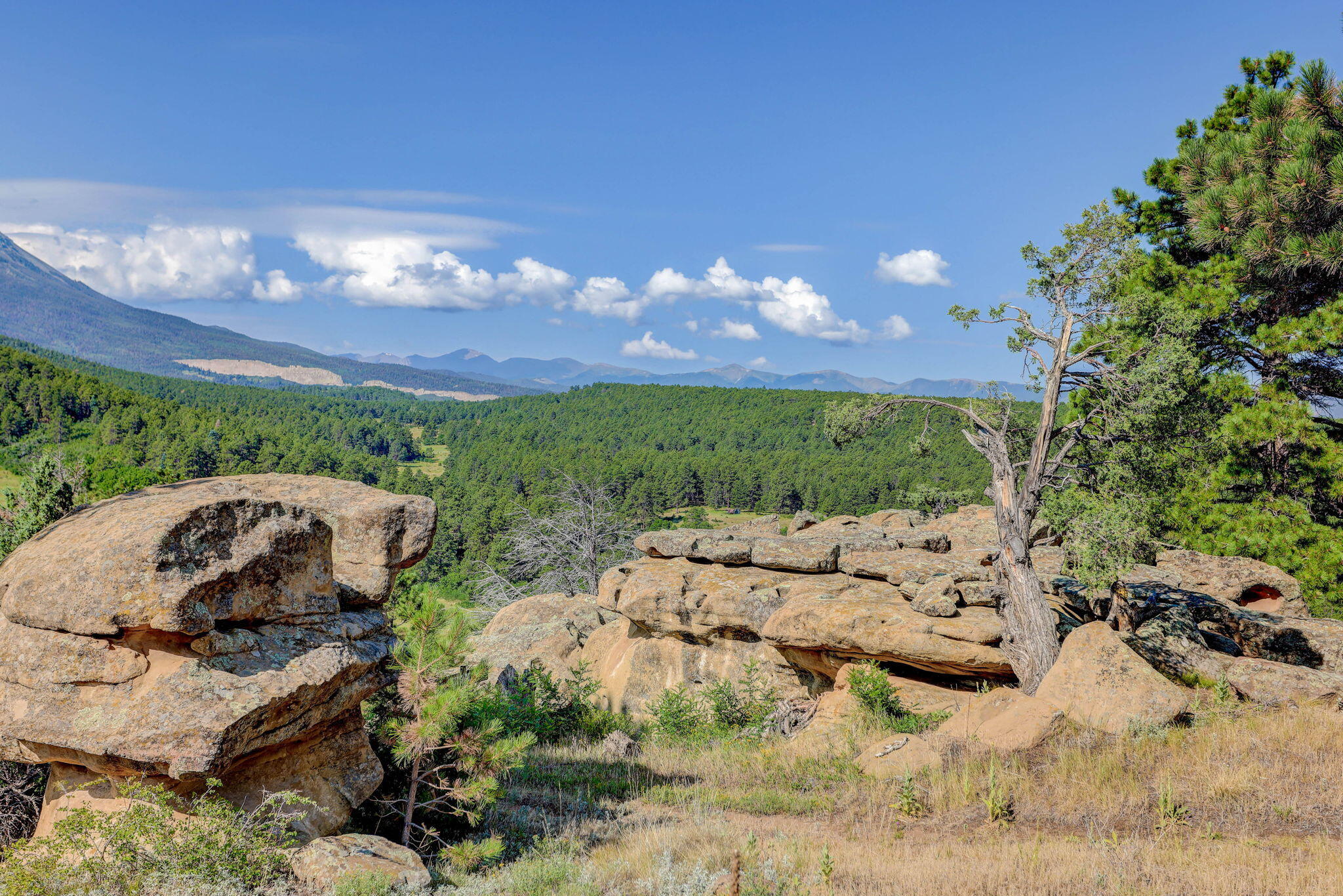 6600 County Rd 363, CO