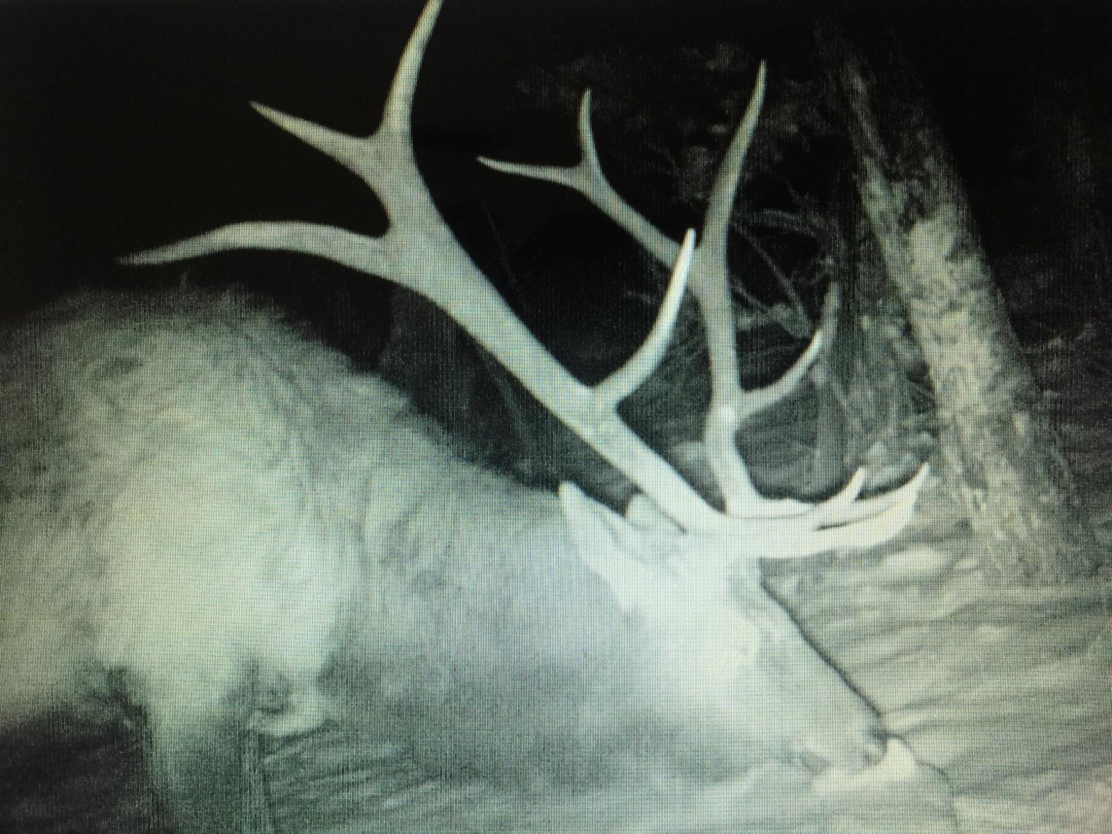 TBD Forbes Rd, Ft. Garland, CO