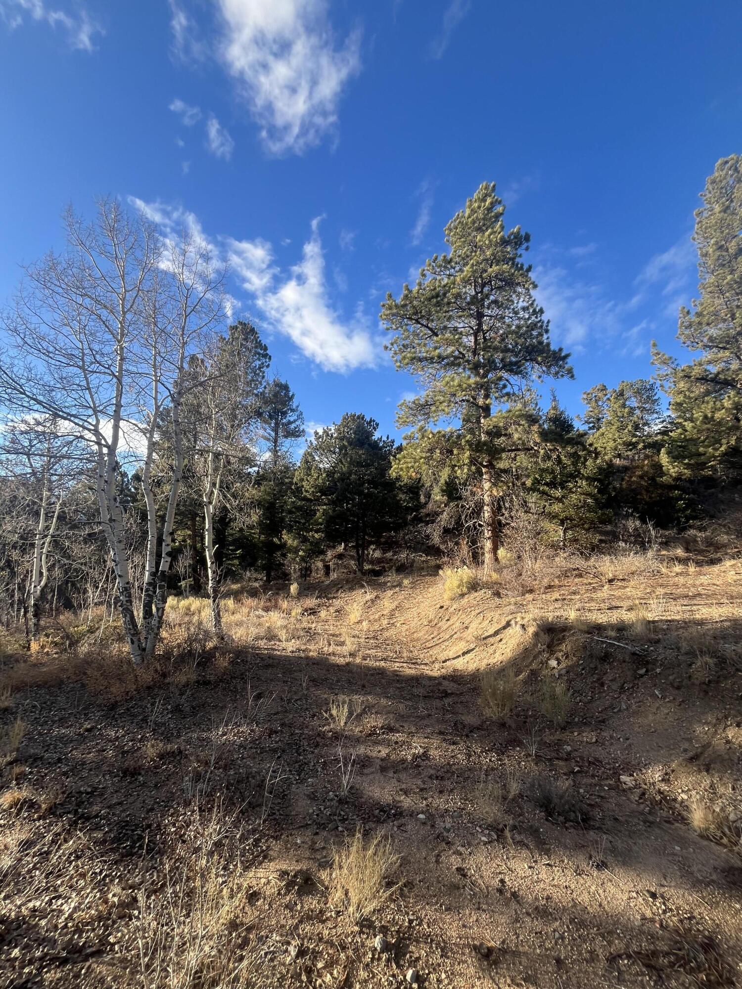 TBD Forbes Rd, Ft. Garland, CO