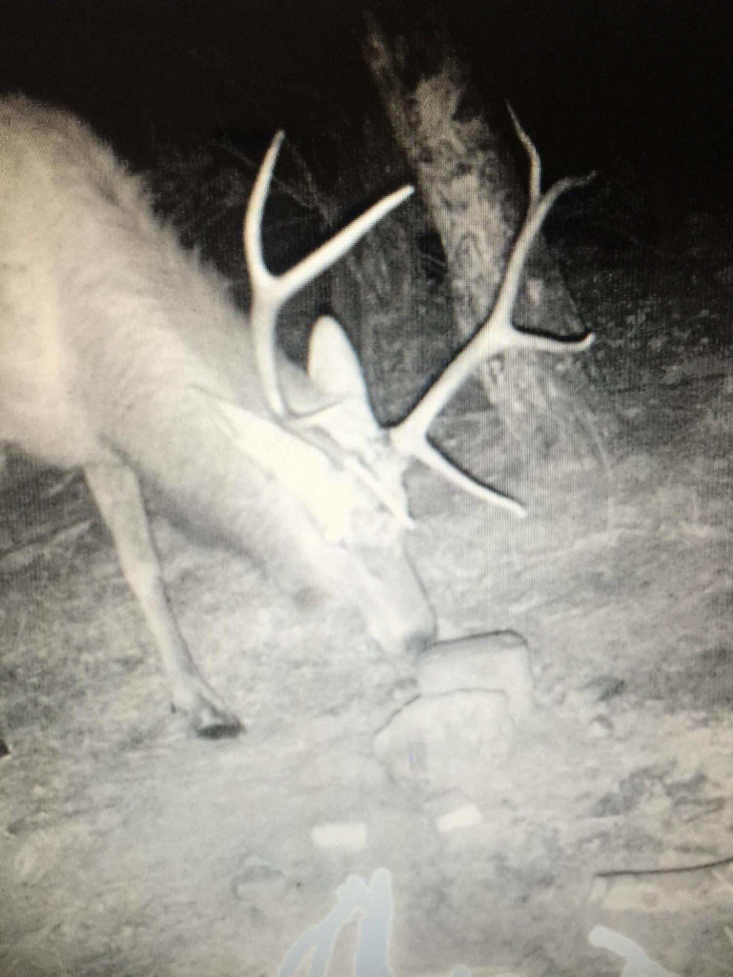 TBD Forbes Rd, Ft. Garland, CO