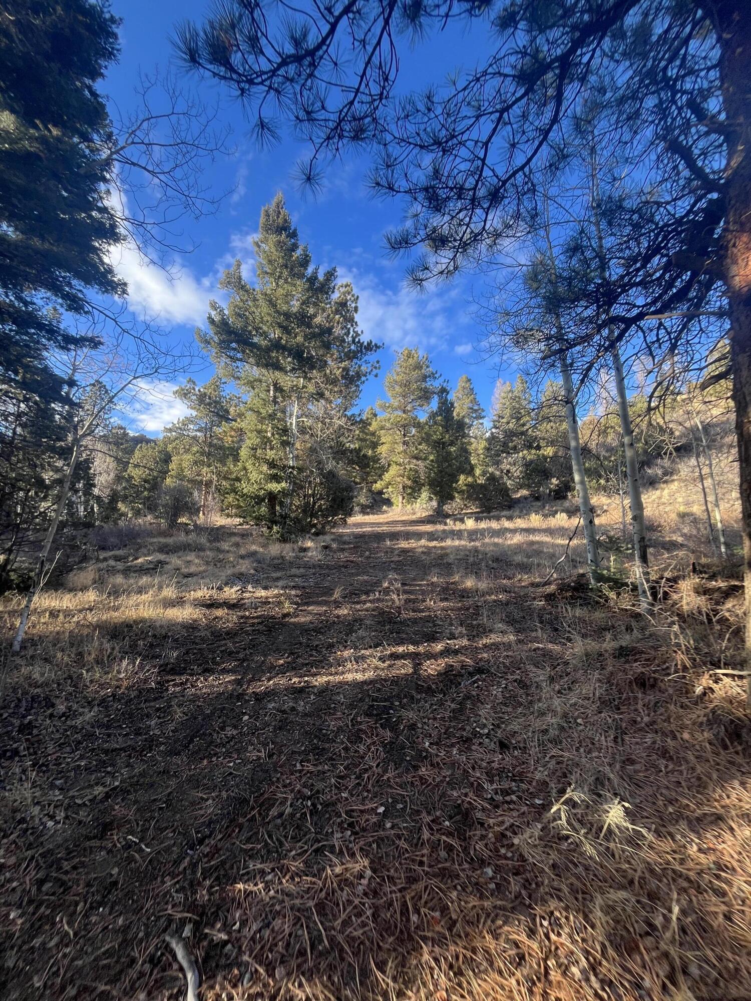 TBD Forbes Rd, Ft. Garland, CO