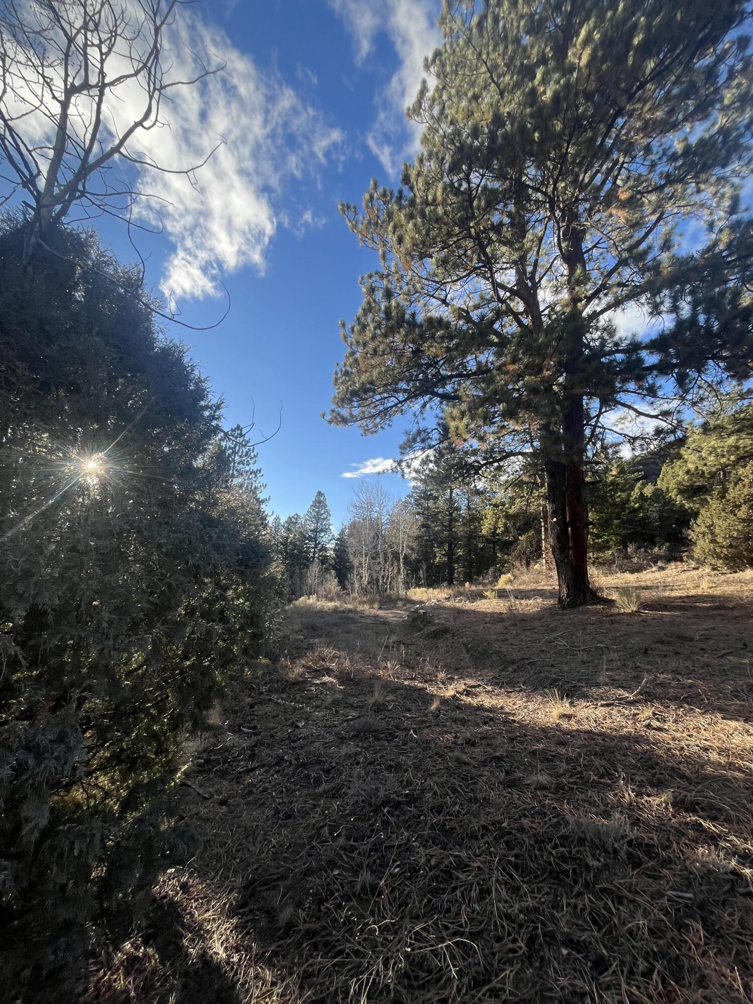 TBD Forbes Rd, Ft. Garland, CO