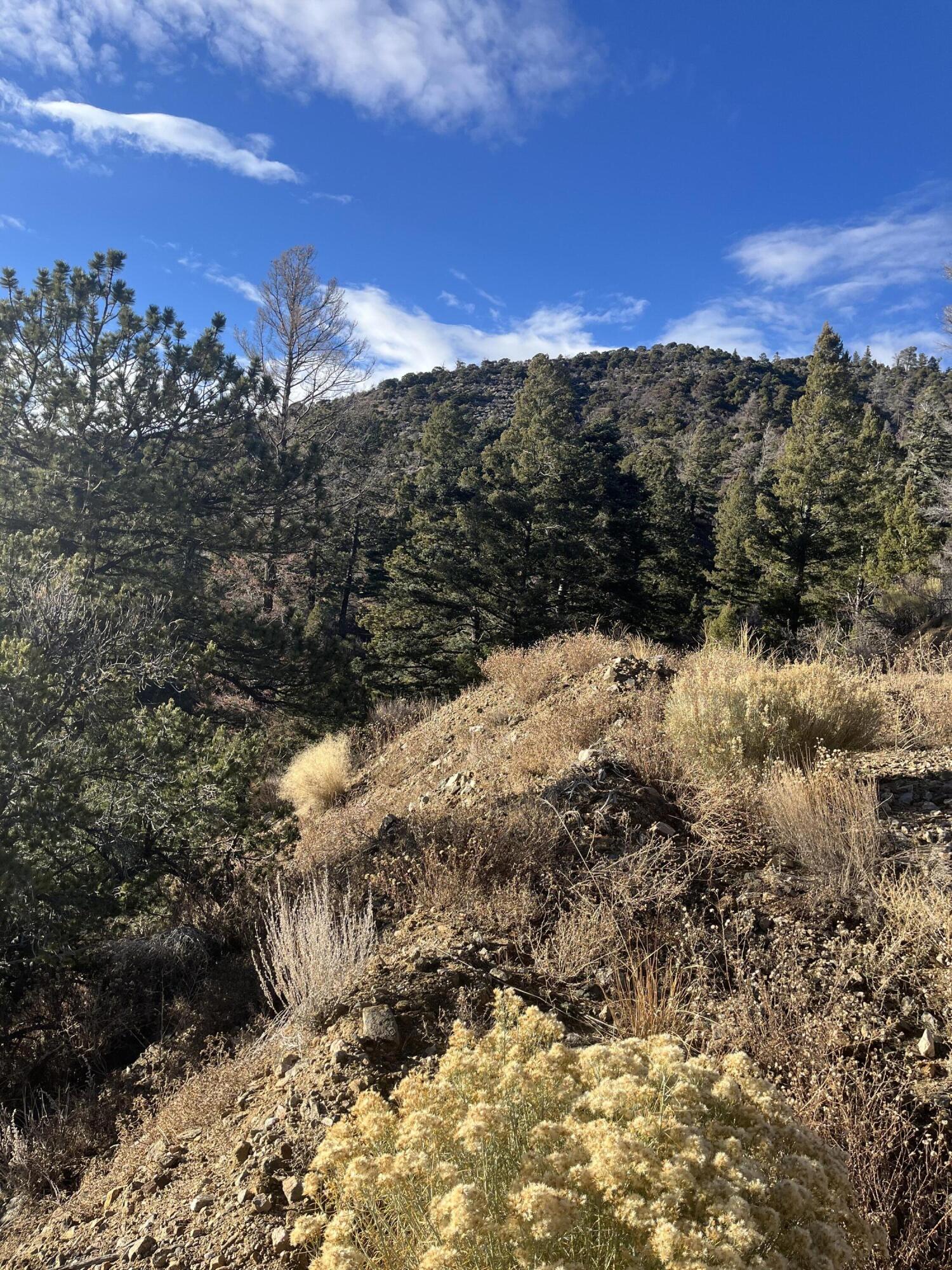 TBD Forbes Rd, Ft. Garland, CO