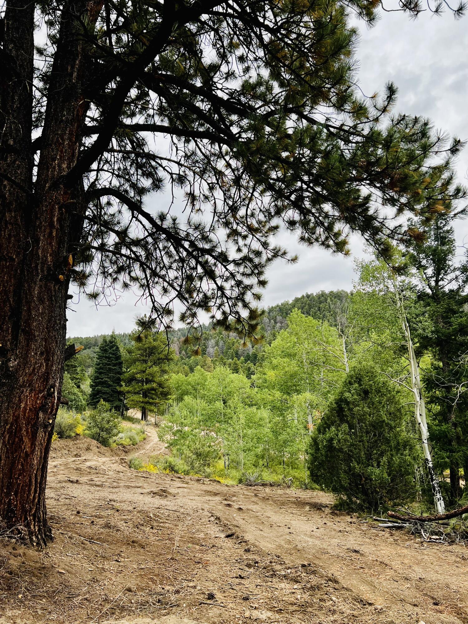 TBD Forbes Rd, Ft. Garland, CO