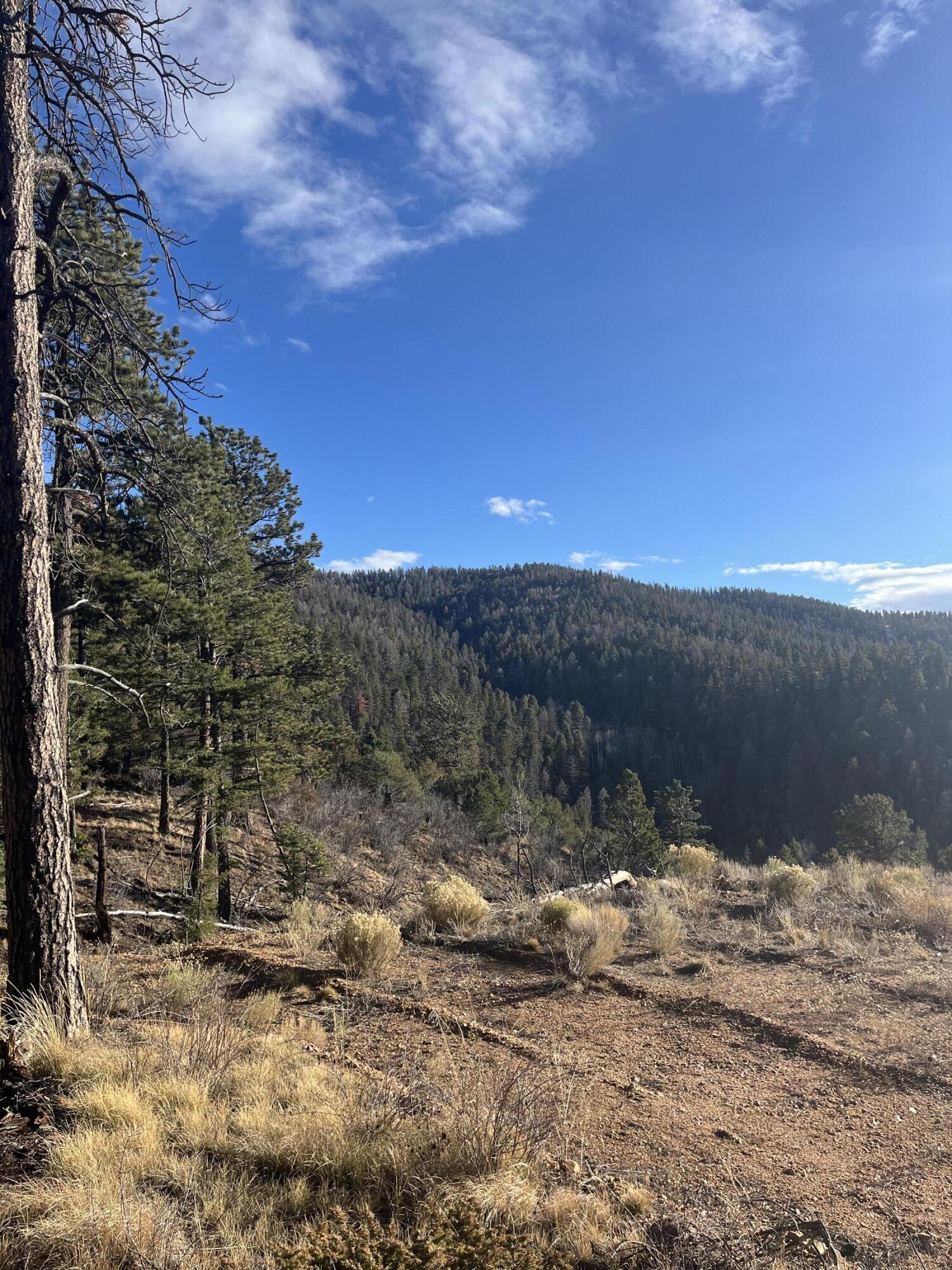 TBD Forbes Rd, Ft. Garland, CO