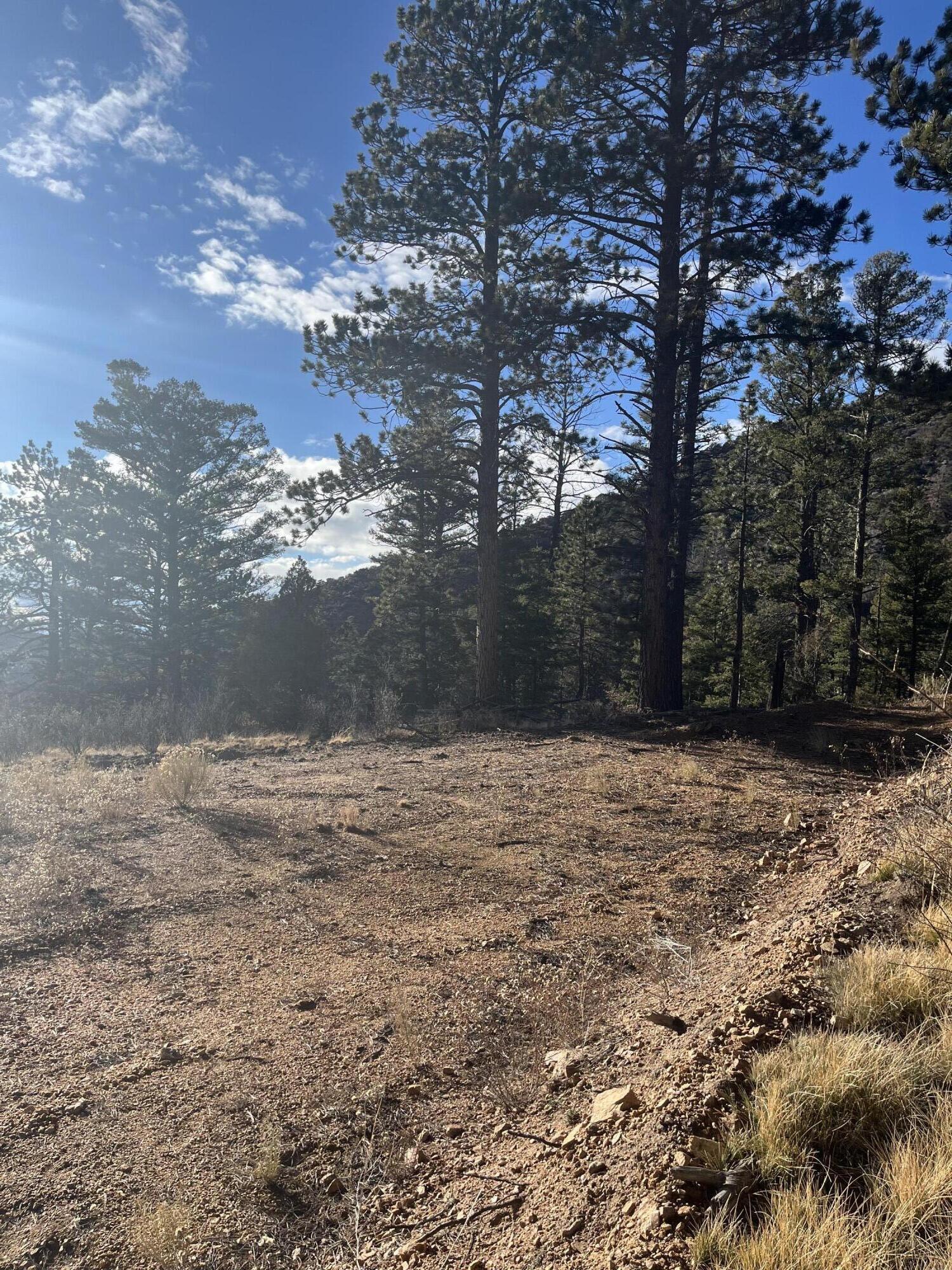 TBD Forbes Rd, Ft. Garland, CO