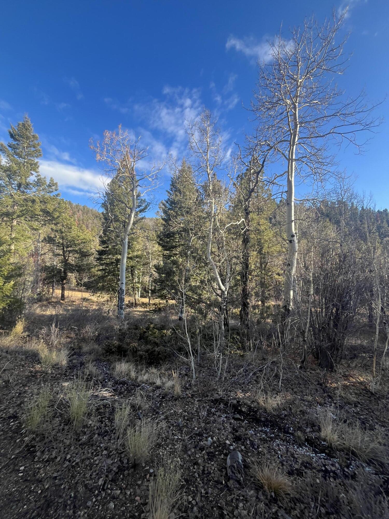 TBD Forbes Rd, Ft. Garland, CO