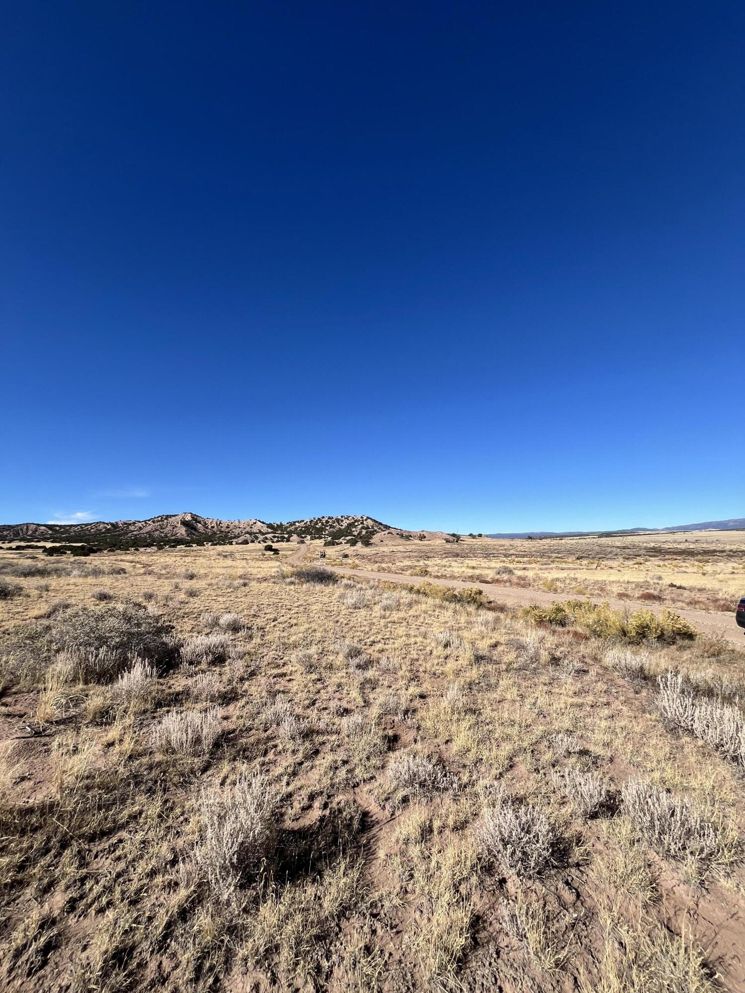 TBD County Road 541 95, CO Unit: 95