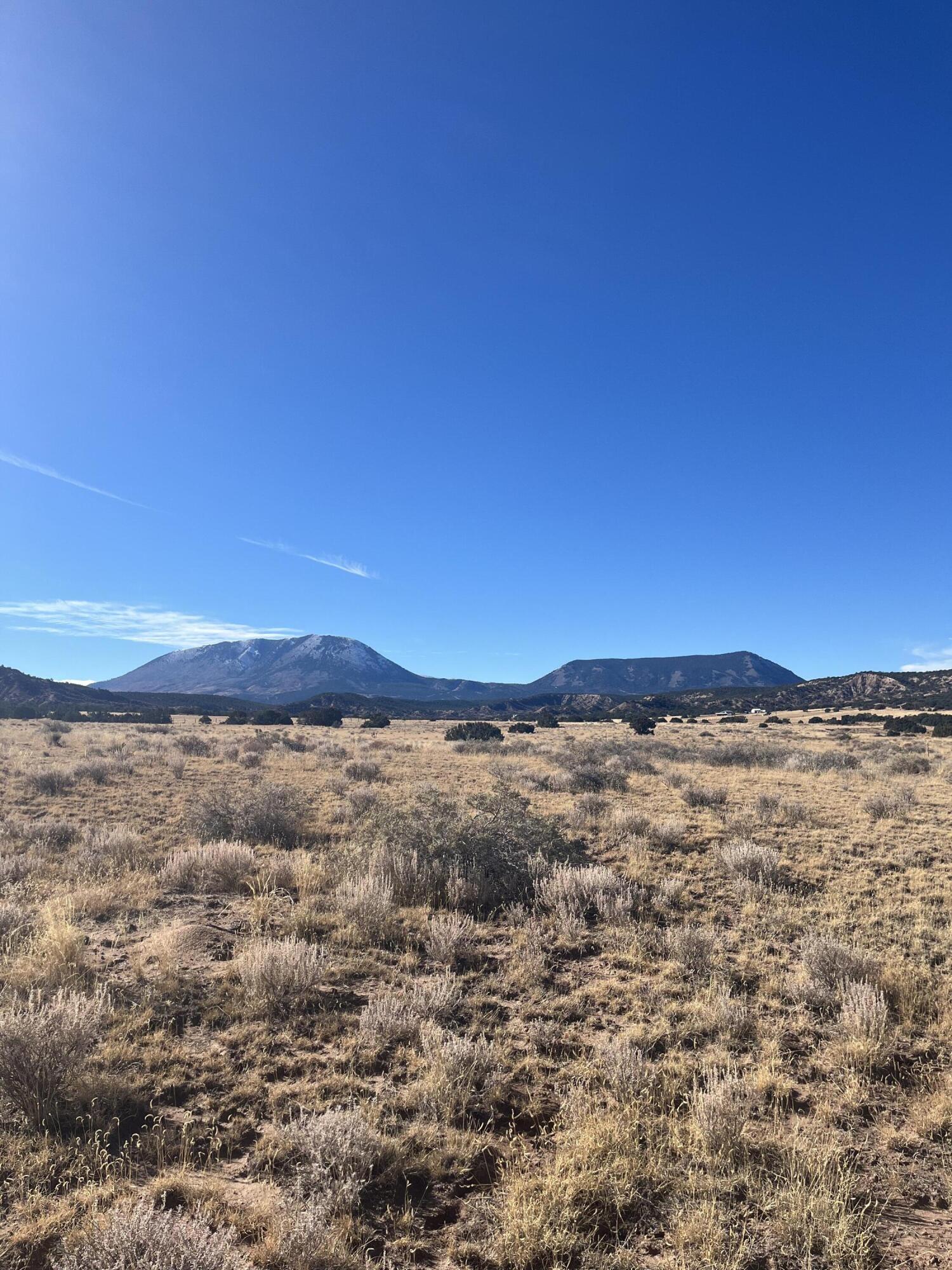 TBD County Road 541 95, CO Unit: 95
