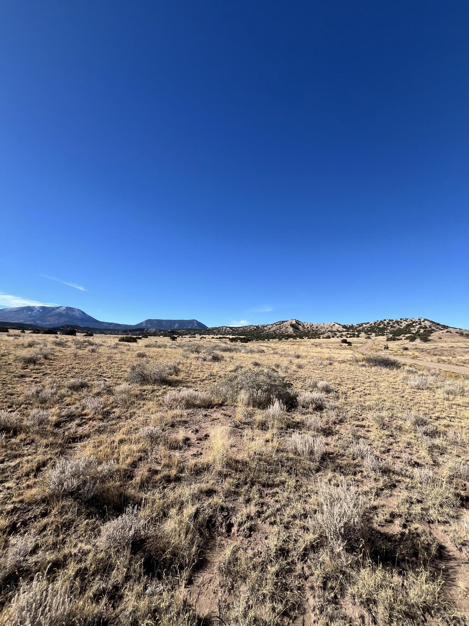 TBD County Road 541 95, CO Unit: 95