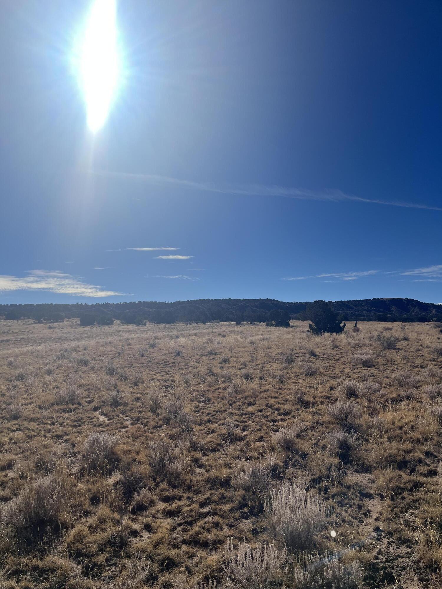 TBD County Road 541 95, CO Unit: 95