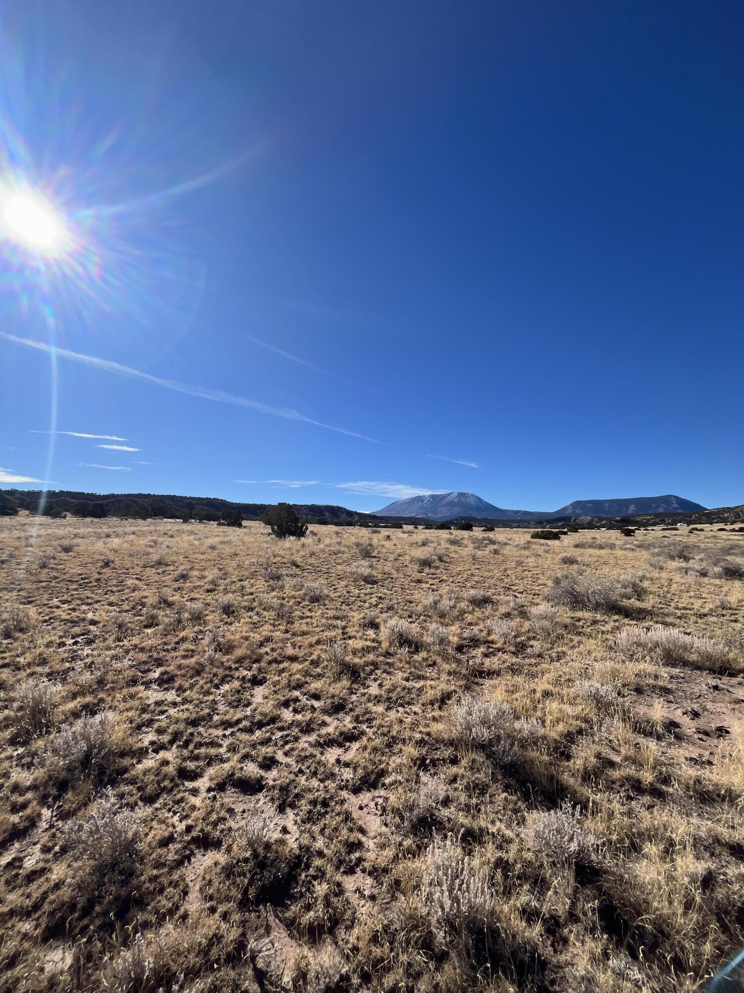 TBD County Road 541 95, CO Unit: 95