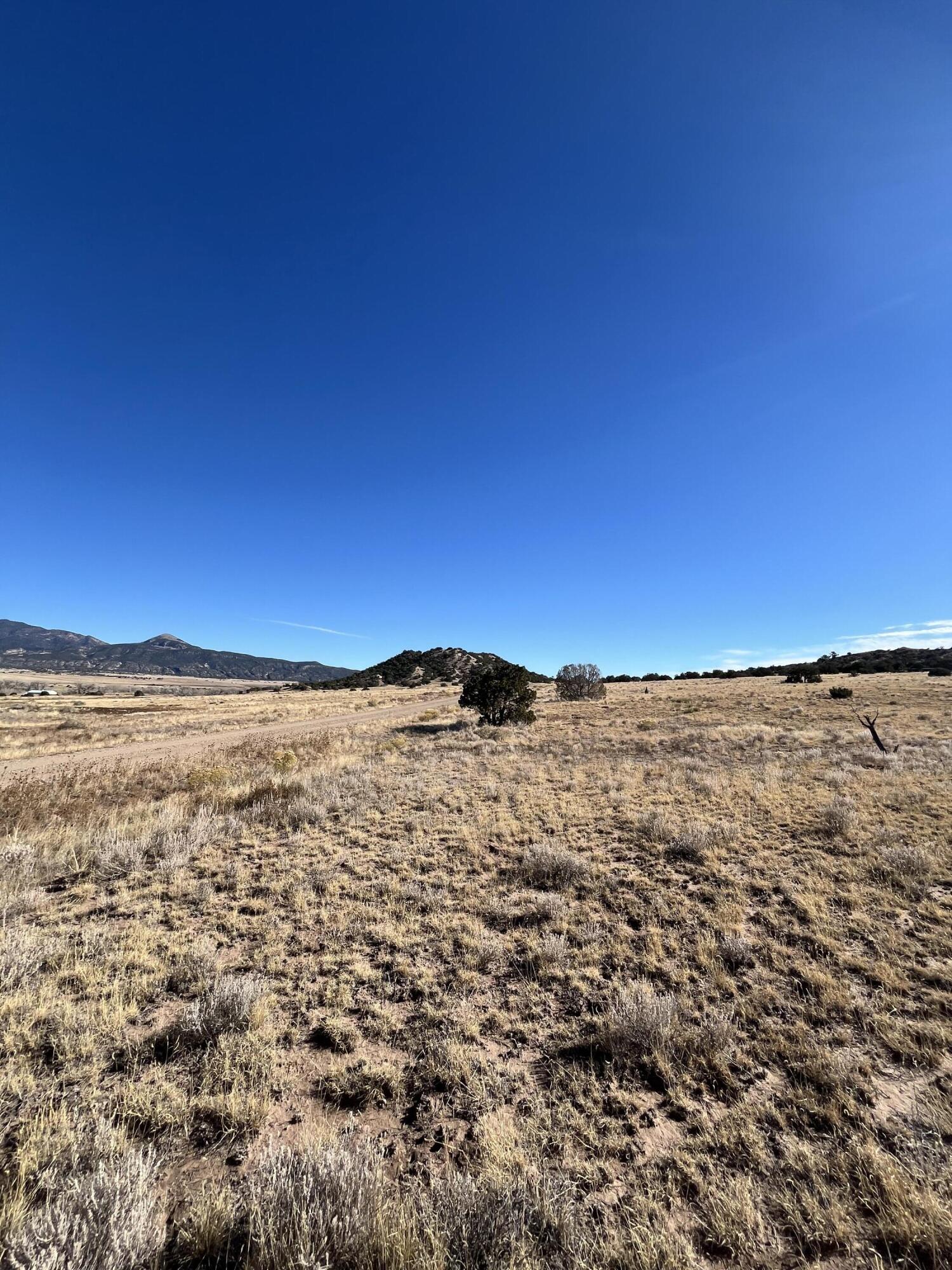 TBD County Road 541 95, CO Unit: 95