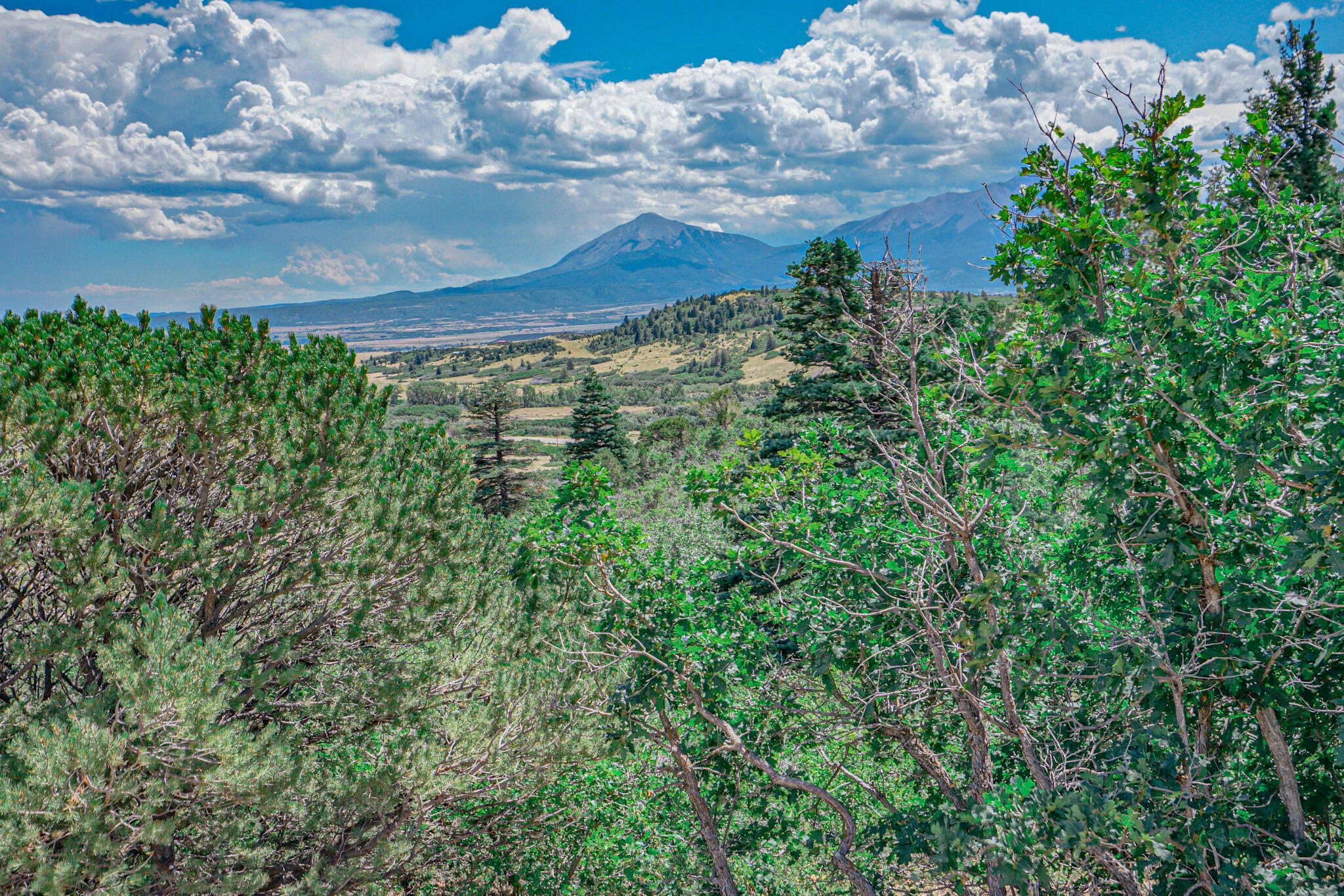 6834 US Hwy -160 lot 34, CO Unit: lot 34