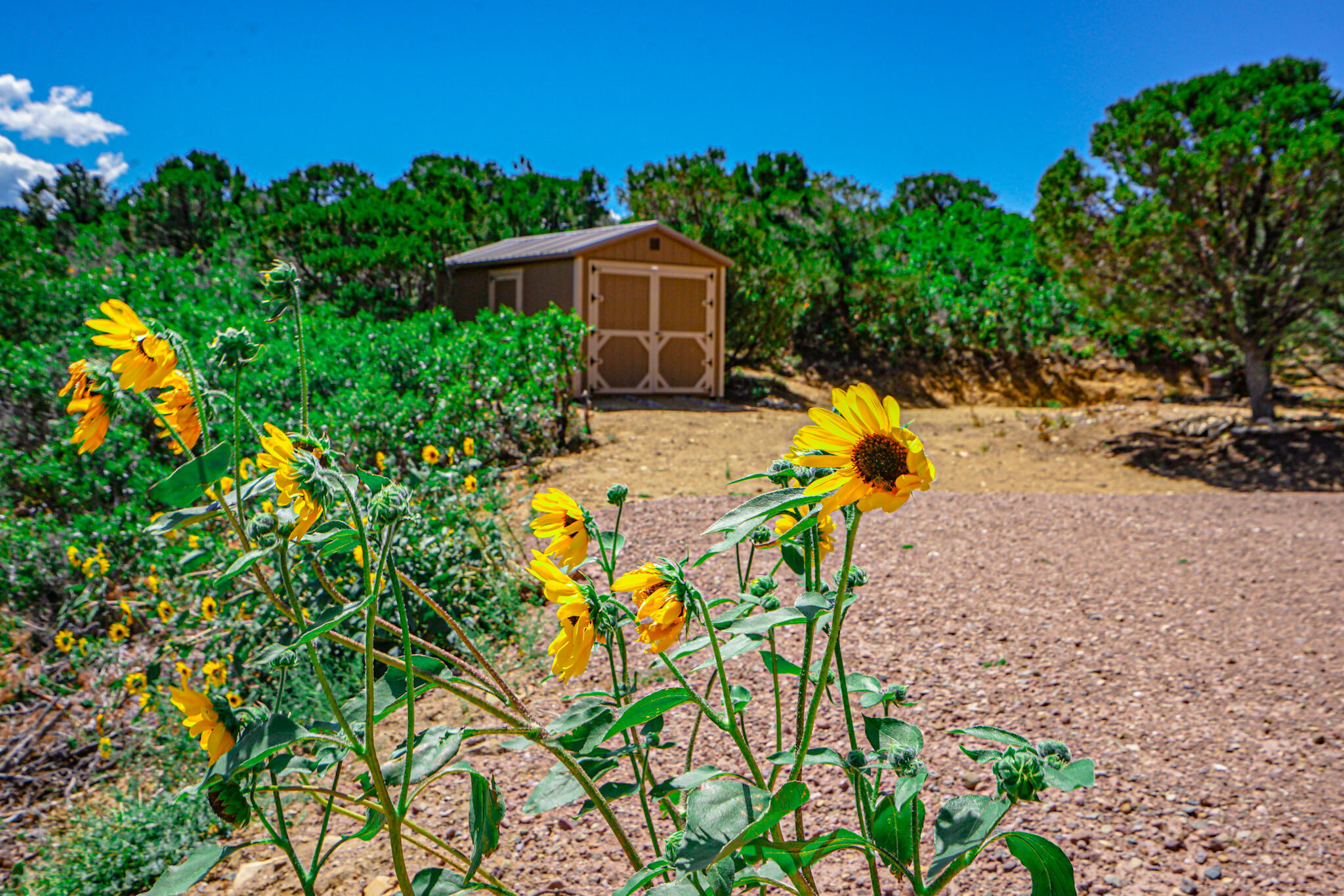 6834 US Hwy -160 lot 34, CO Unit: lot 34