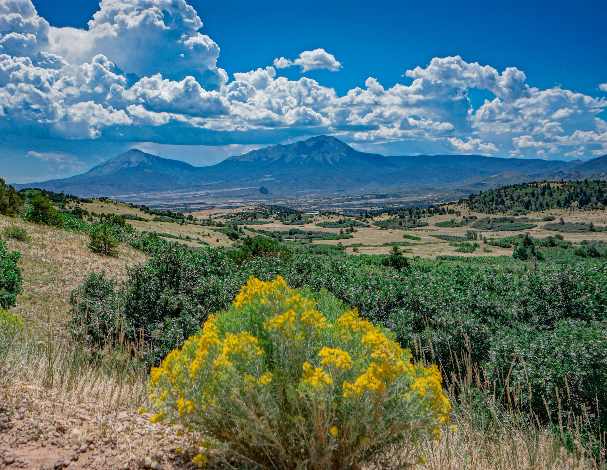 6834 US Hwy -160 lot 34, CO Unit: lot 34