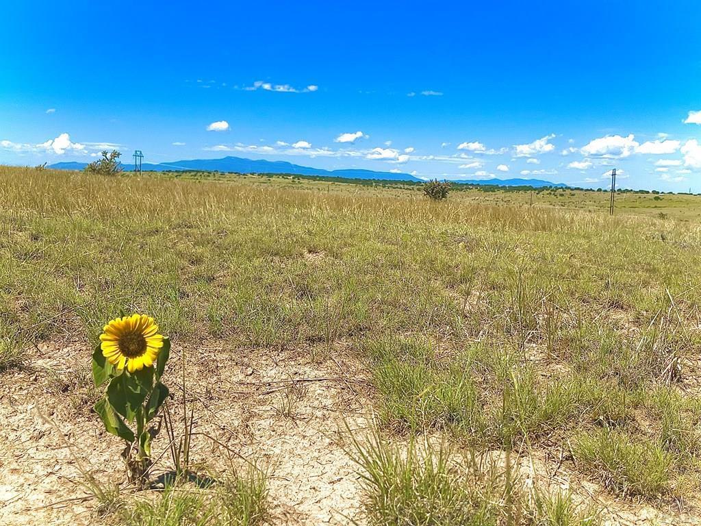 TBD Schmitt Road