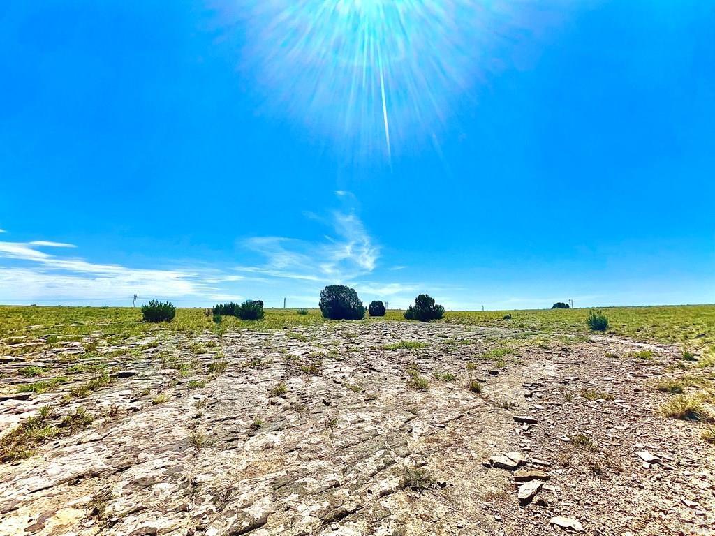 TBD Schmitt Road