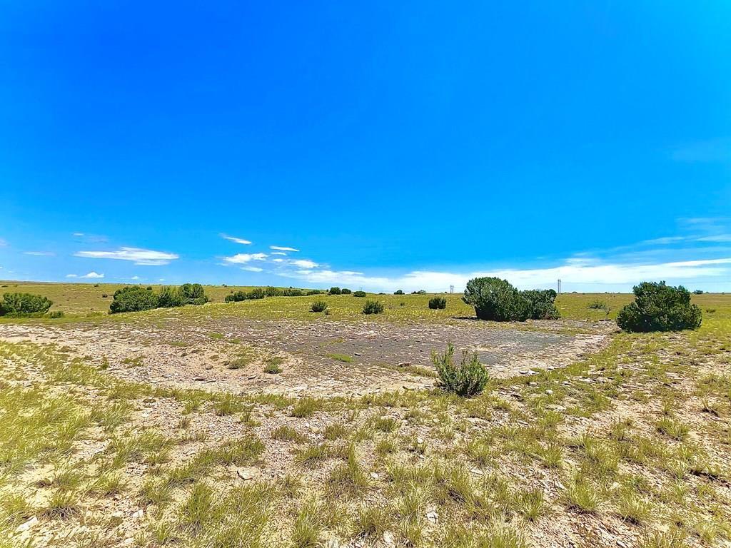 TBD Schmitt Road