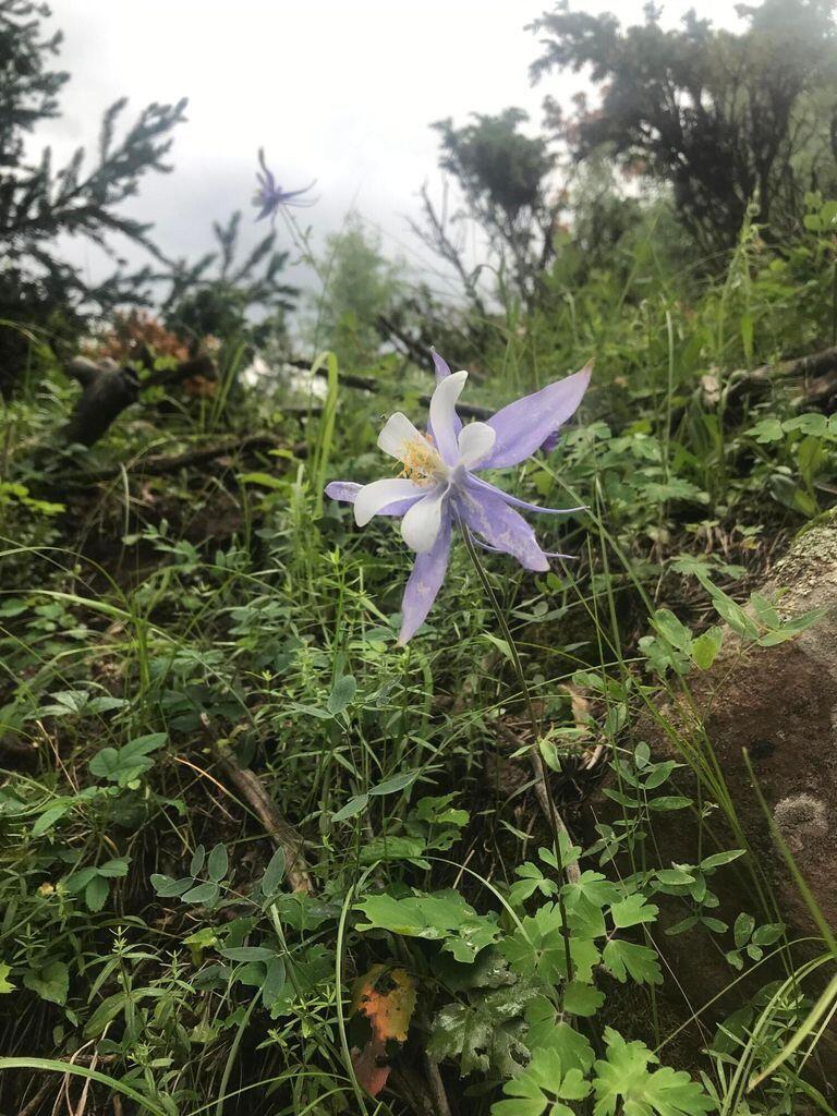 TBD Panadero Ave