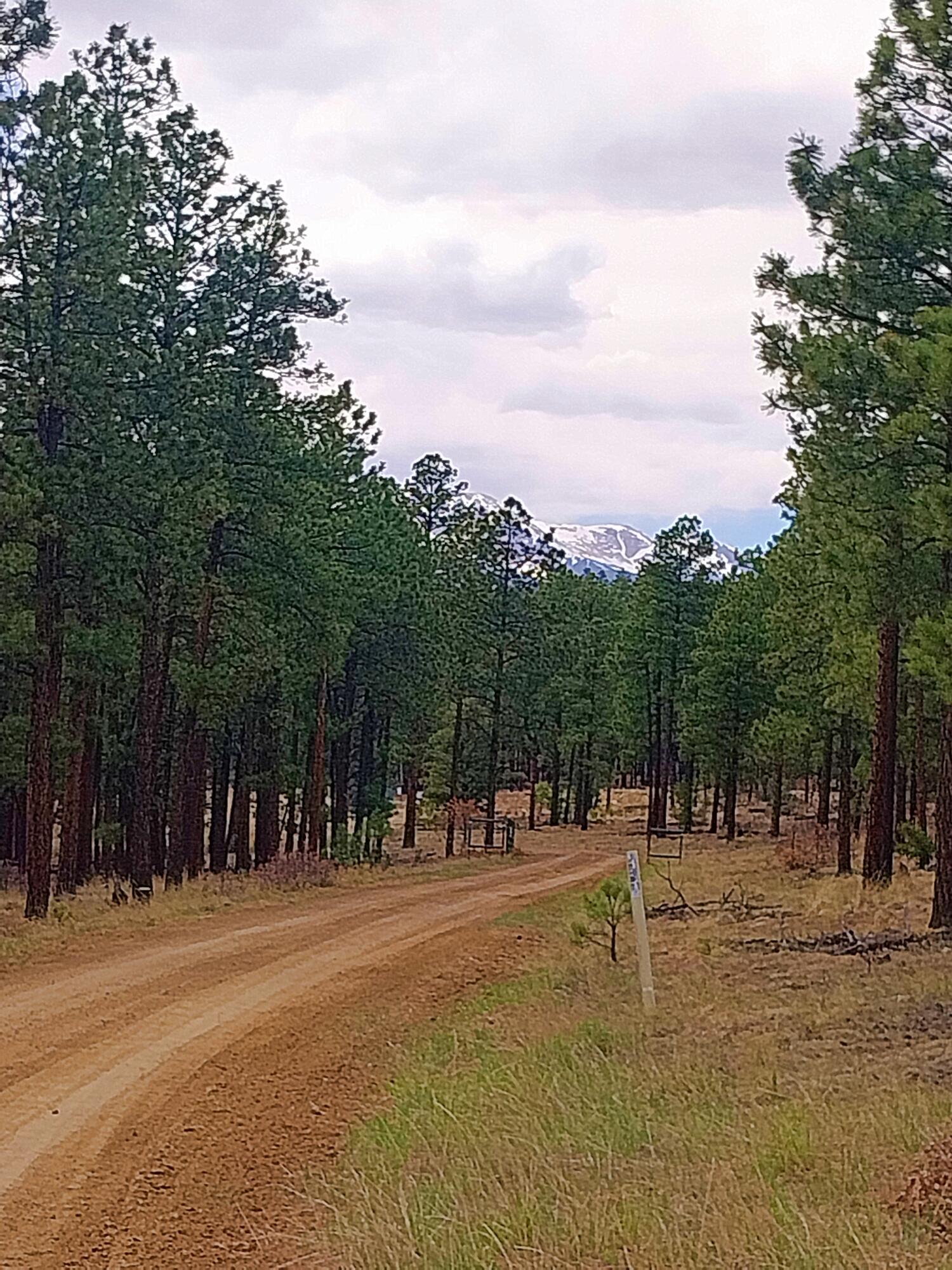 12012 Switchback Rd