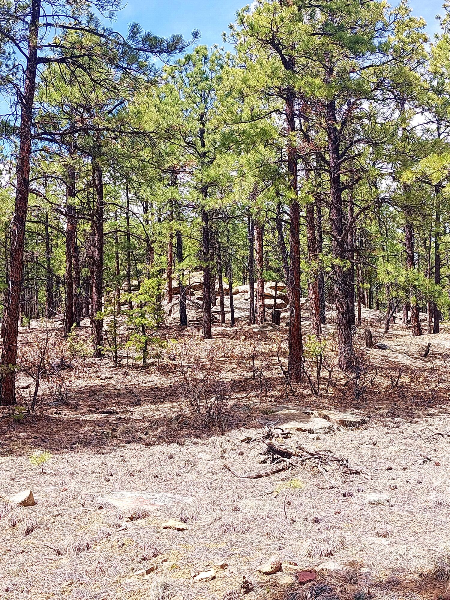 12012 Switchback Rd