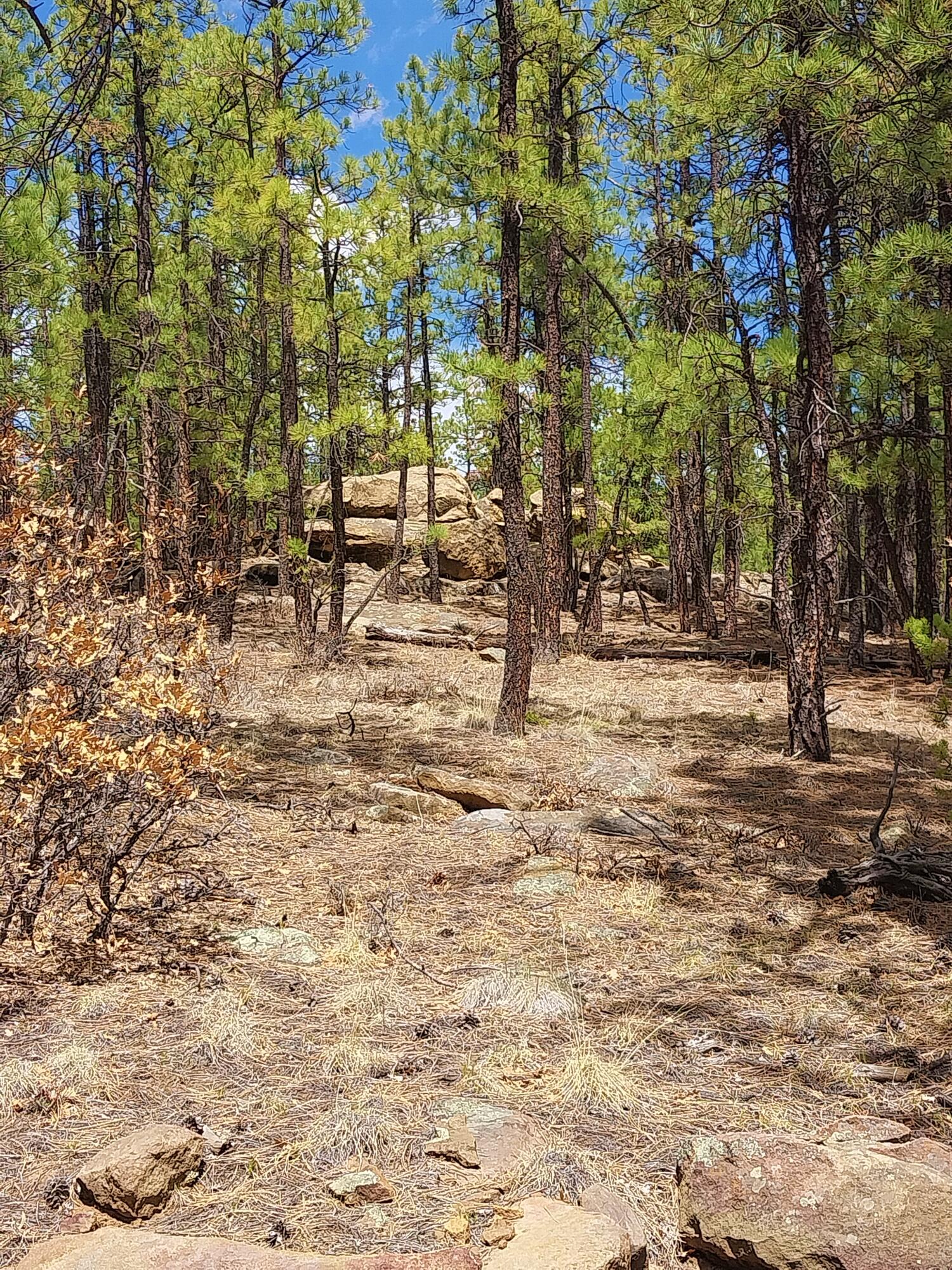 12012 Switchback Rd