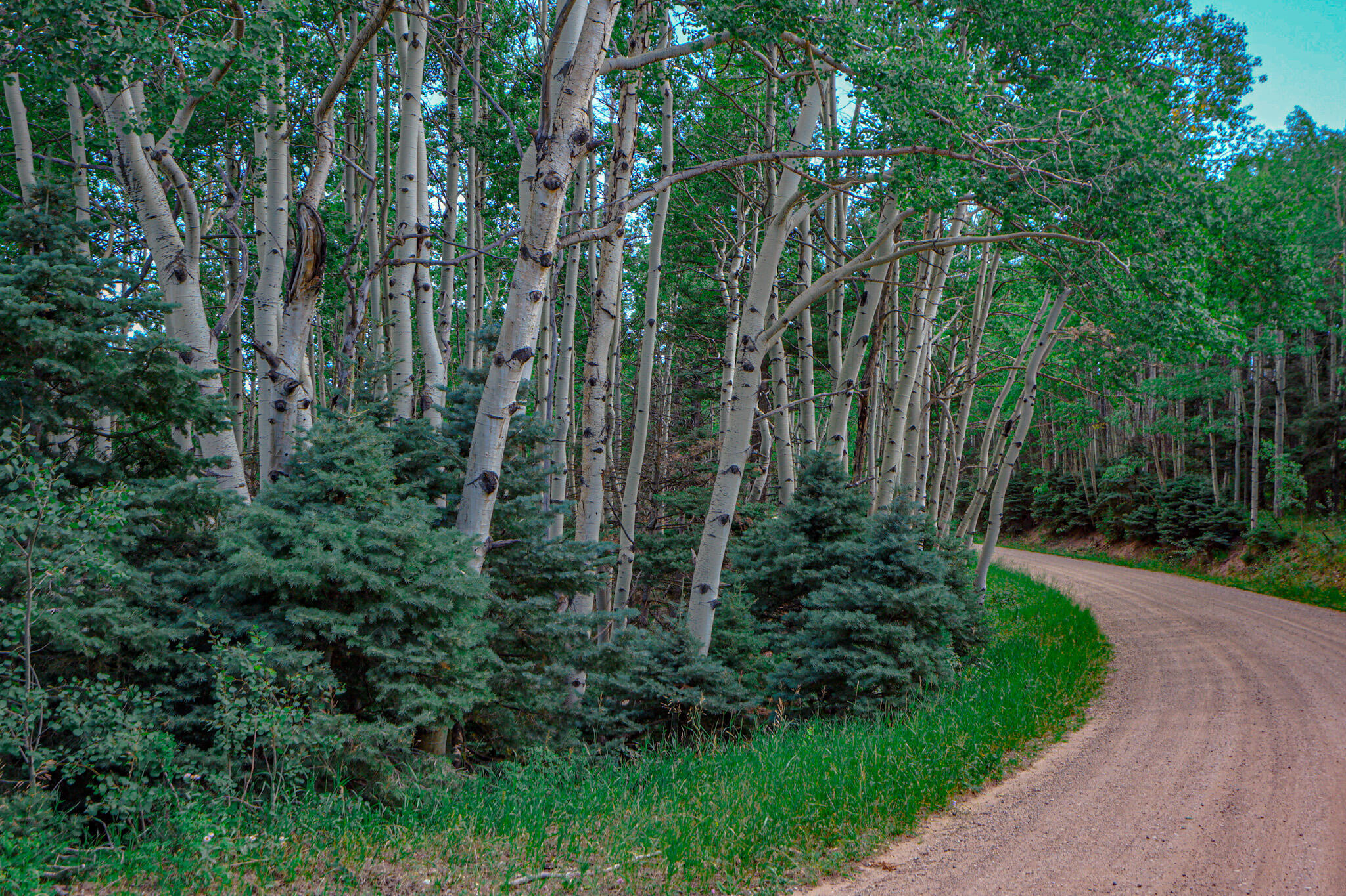 TBD Parsons Rd