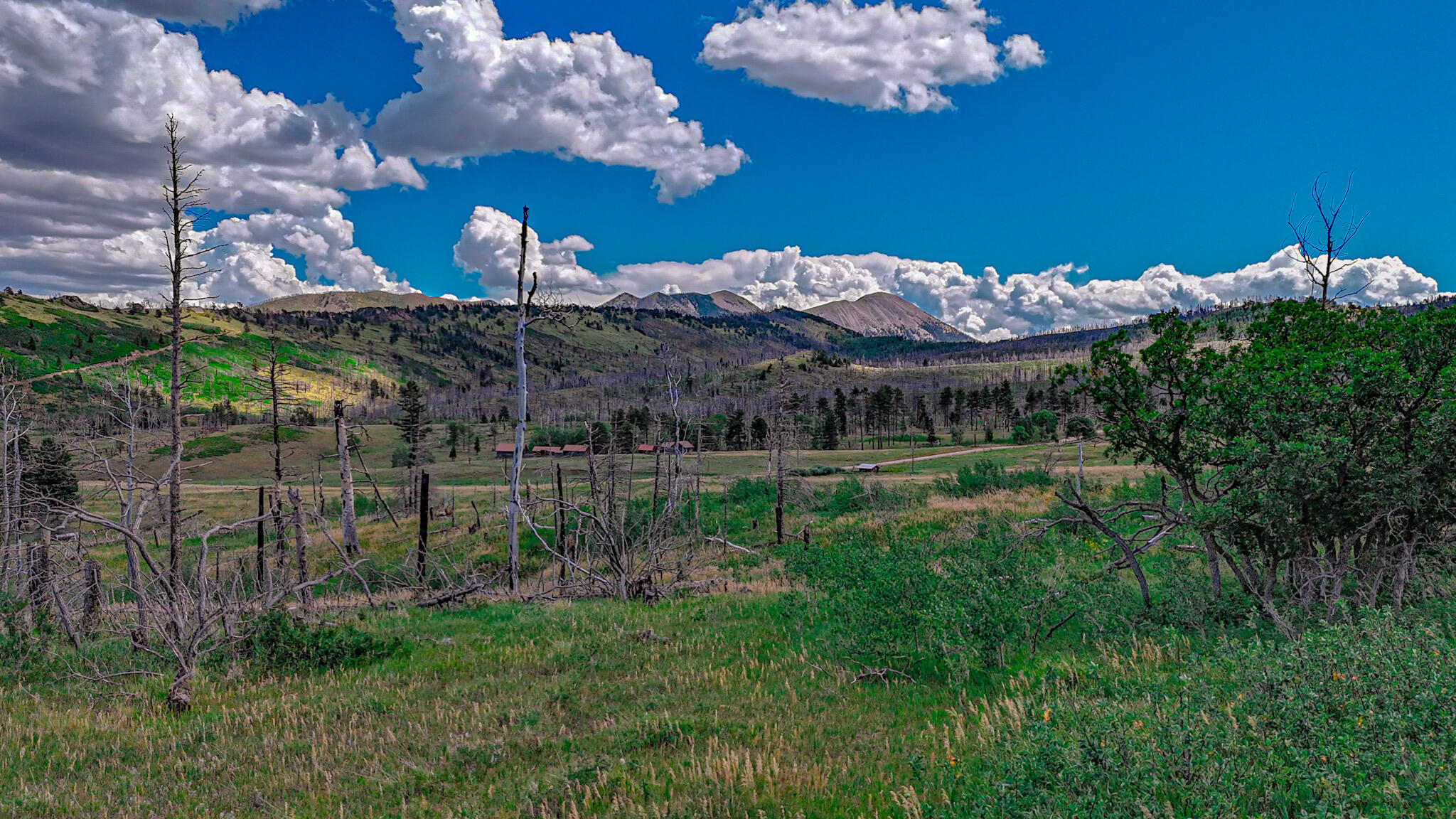 TBD Parsons Rd