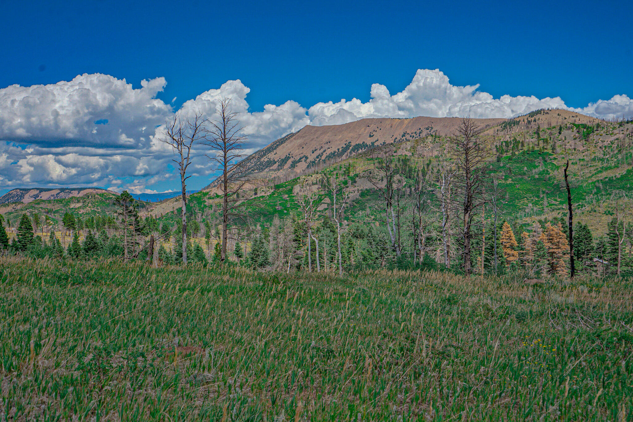 TBD Parsons Rd