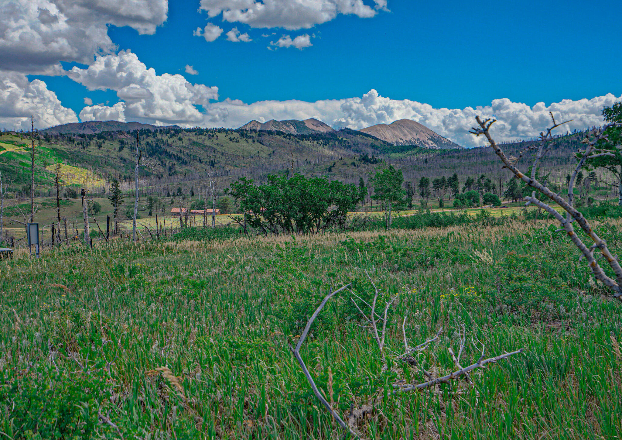 TBD Parsons Rd