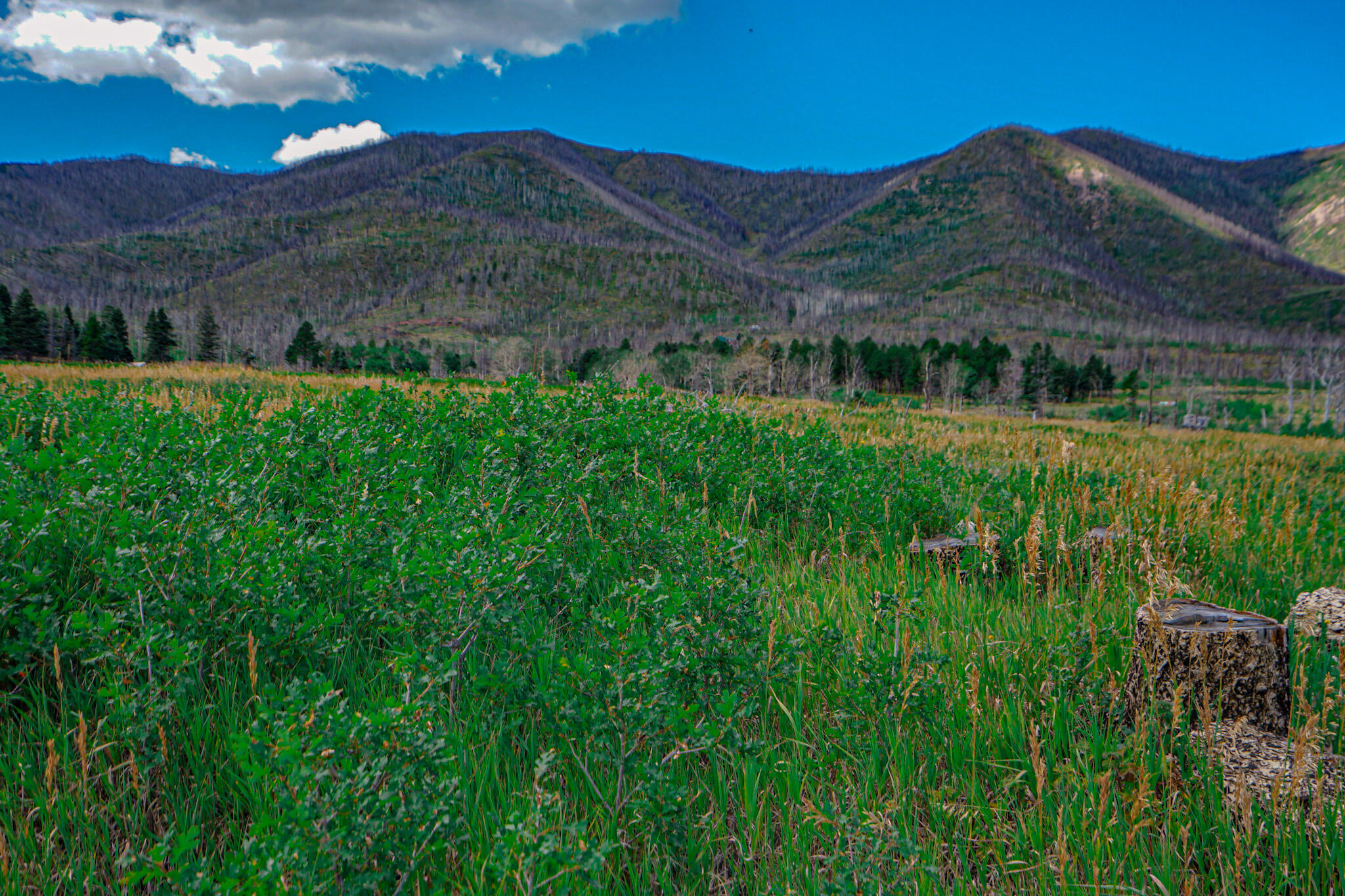 TBD Parsons Rd