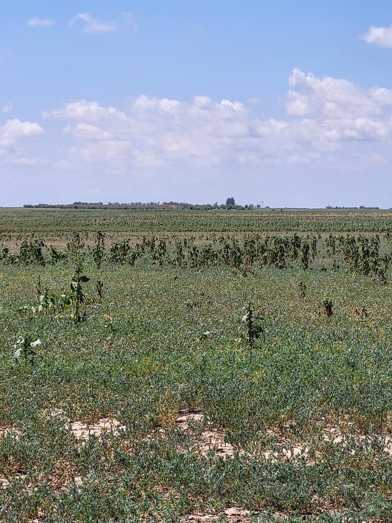 61776 Huckleberry Rd