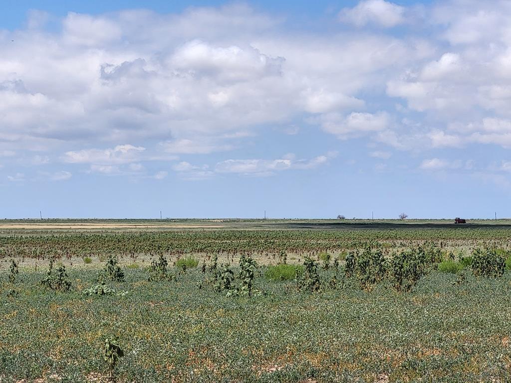 61776 Huckleberry Rd