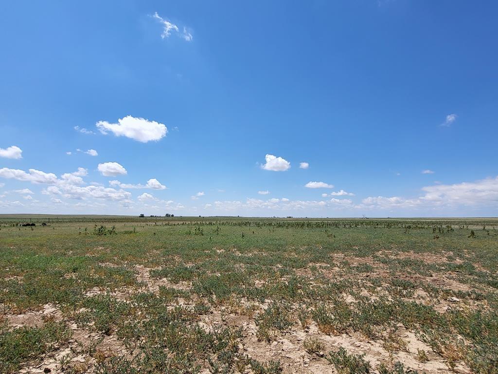 61776 Huckleberry Rd