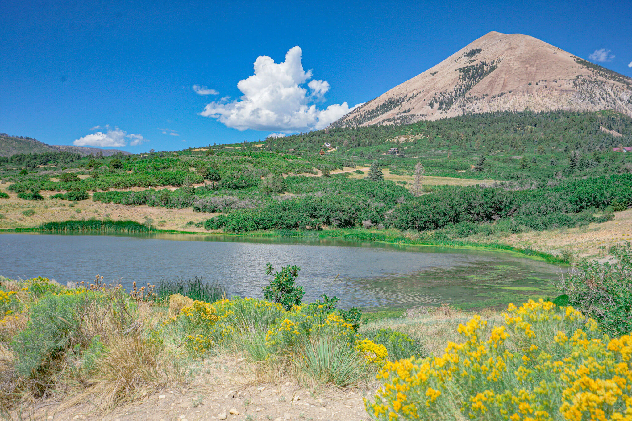 6830 US hwy 160 Lot 30, CO Unit: Lot 30
