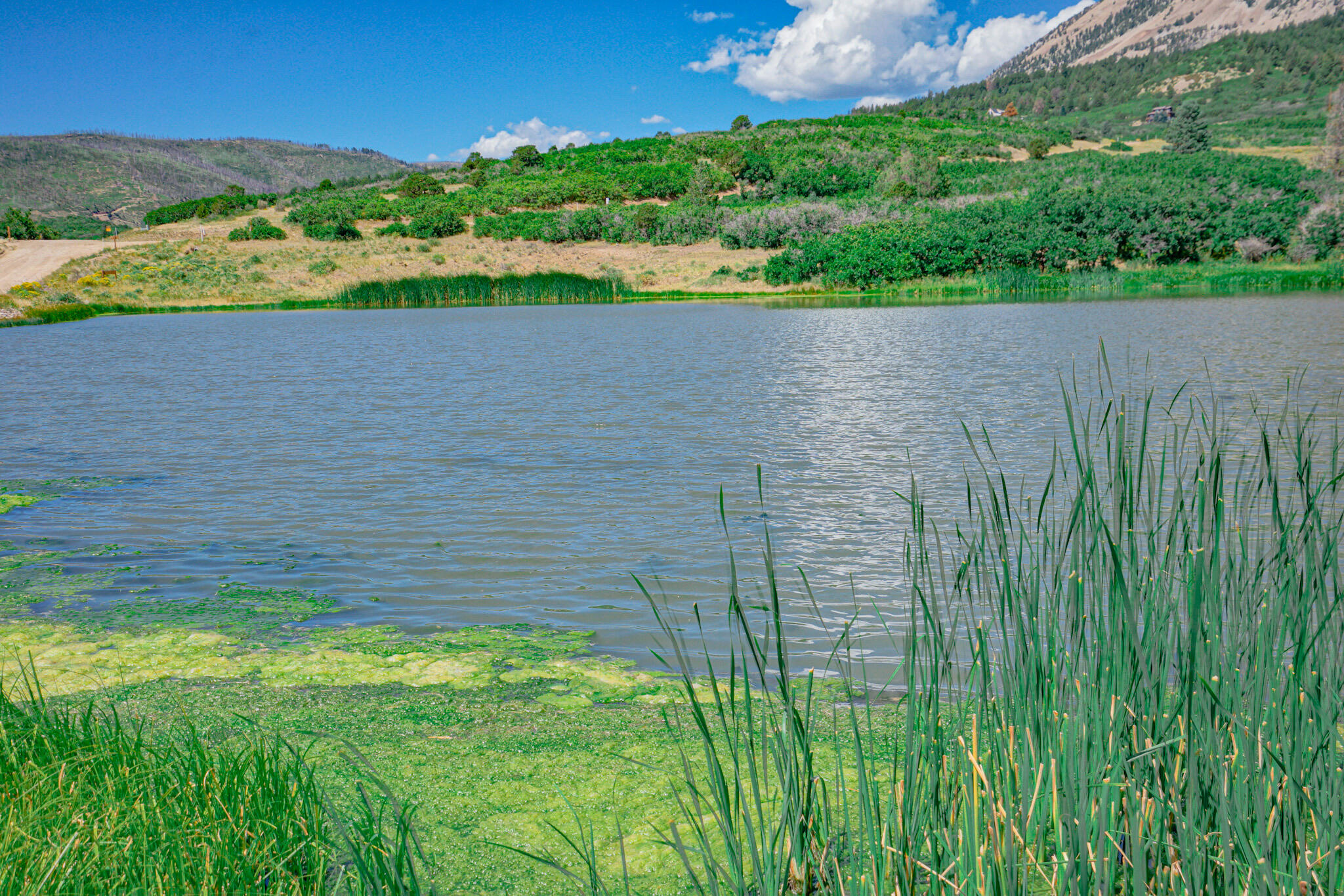 6830 US hwy 160 Lot 30, CO Unit: Lot 30