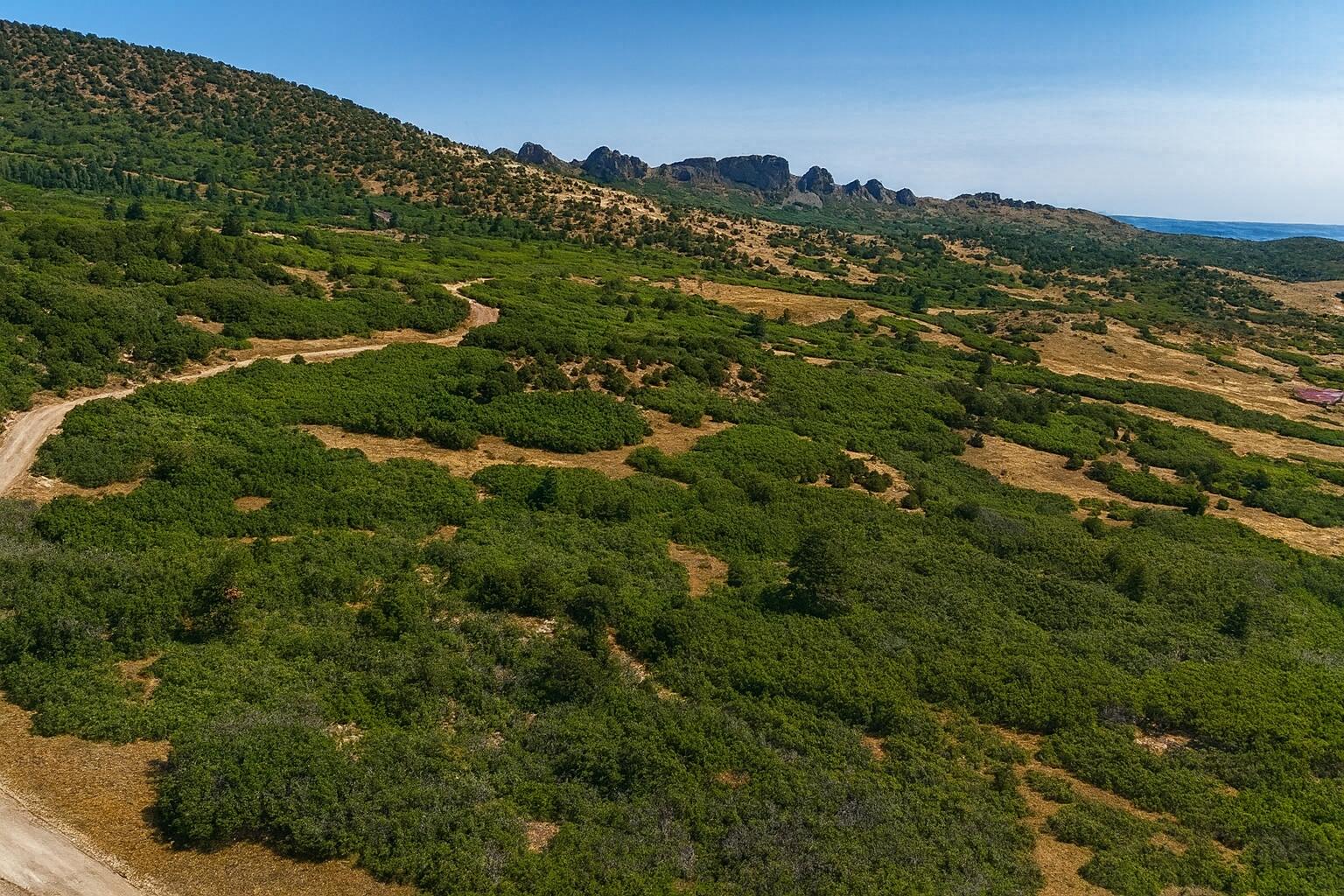 6830 US hwy 160 Lot 30, CO Unit: Lot 30