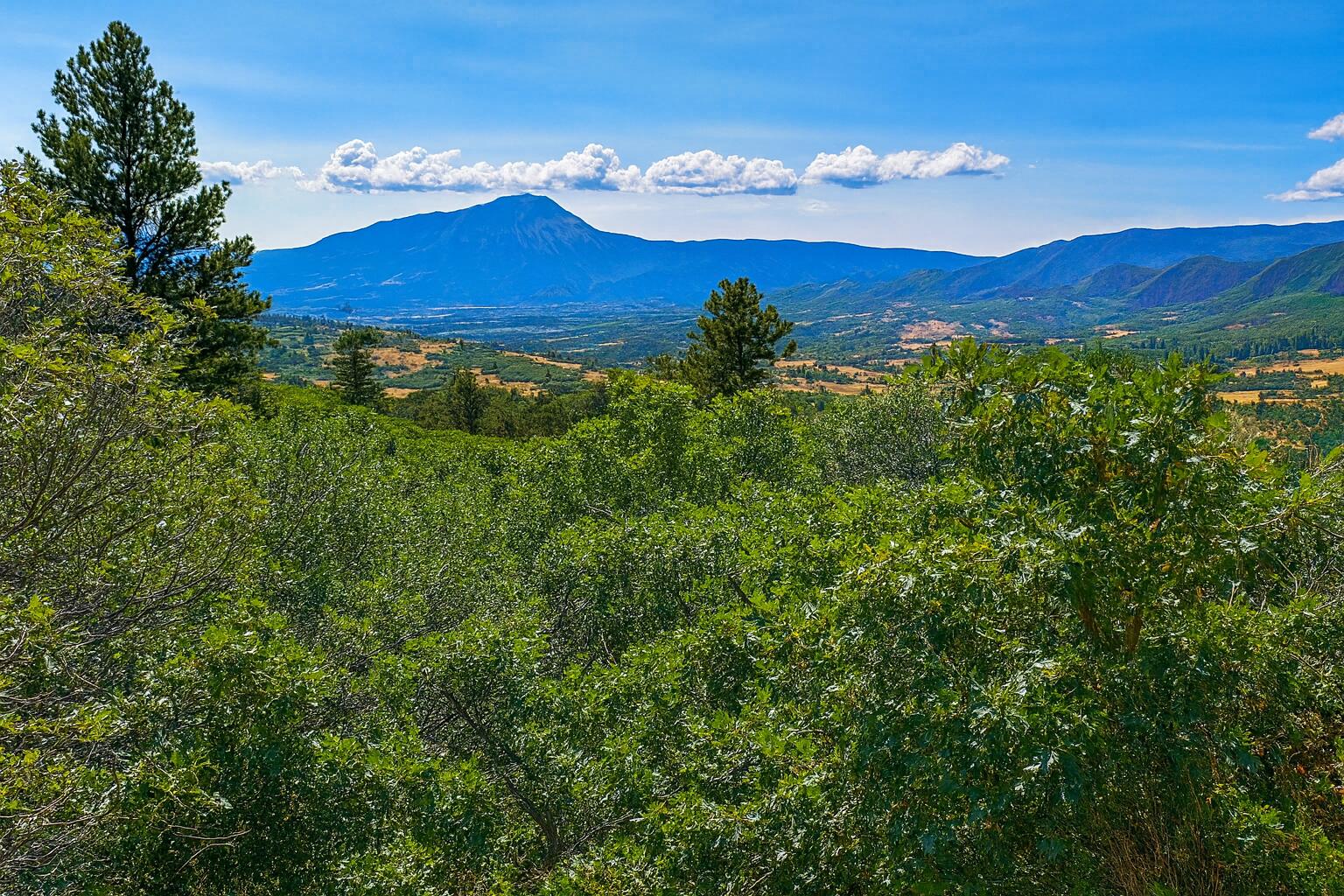 6830 US hwy 160 Lot 30, CO Unit: Lot 30