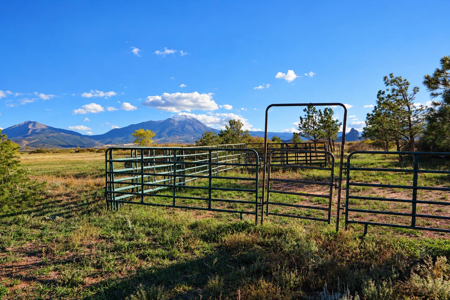 2251 County Road 430, CO