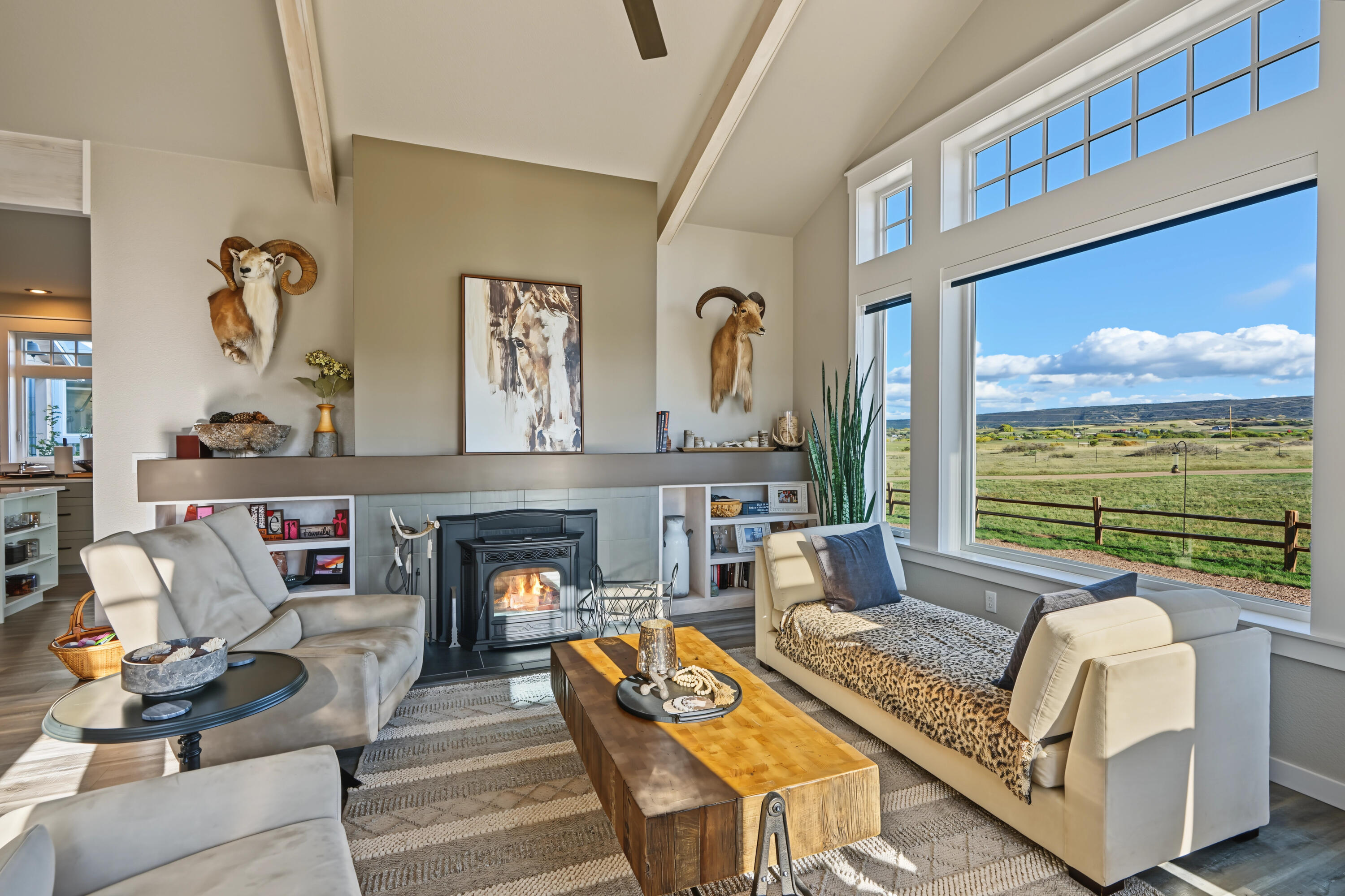 2251 County Road 430, CO